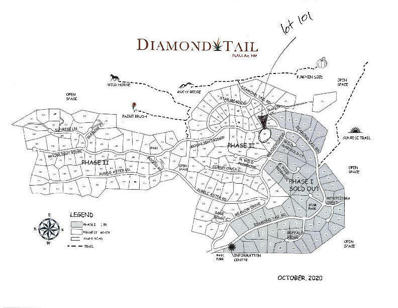 Photo 9 — 239 Moonlight Ridge Road Lot 101