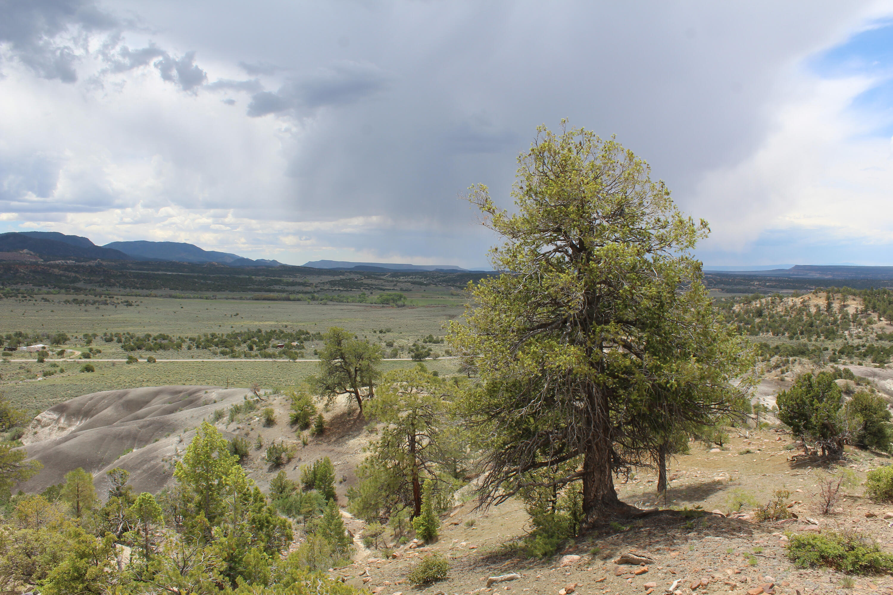 Photo 11 — TBD 200 County Rd 13 Road