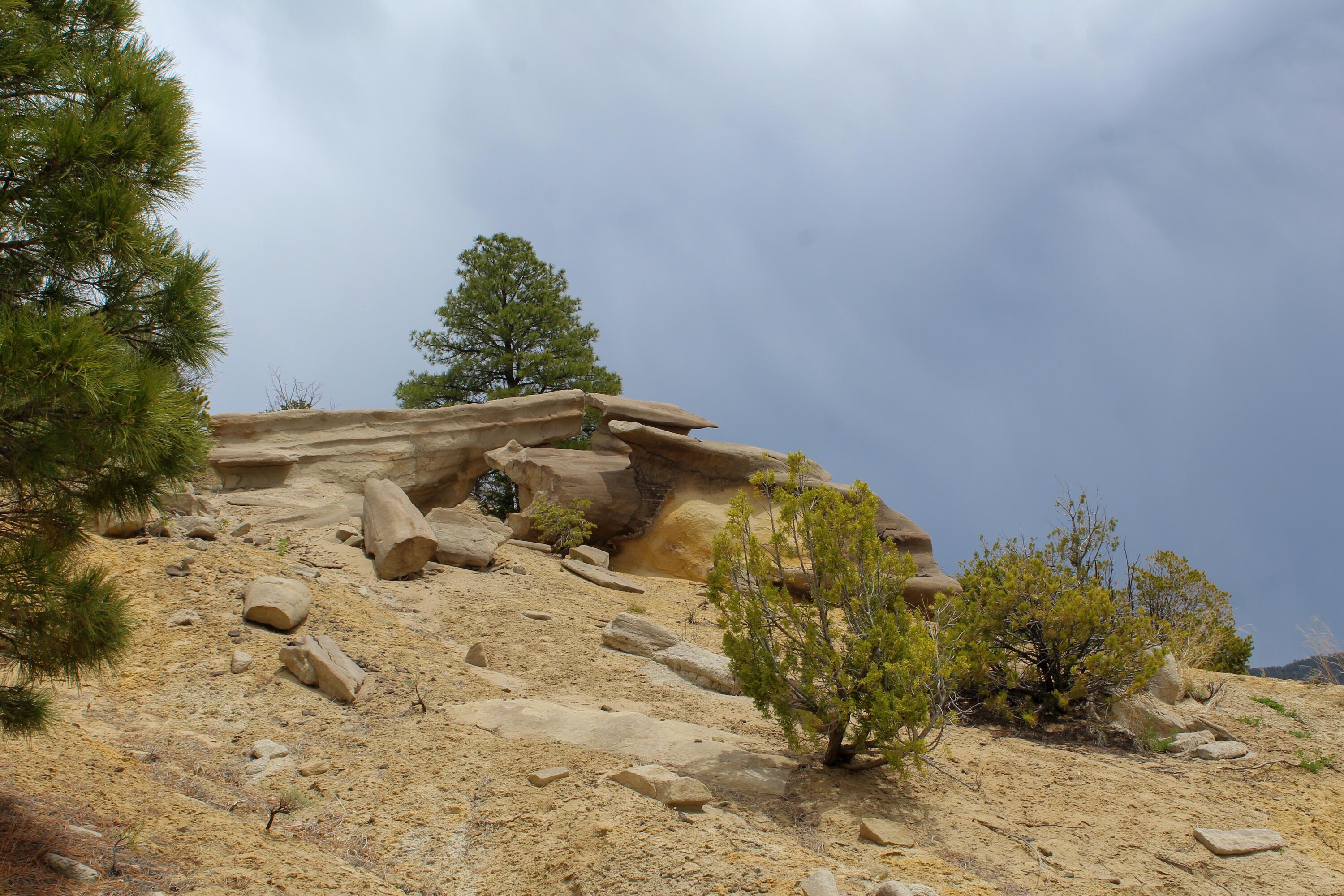 Photo 7 — TBD 200 County Rd 13 Road