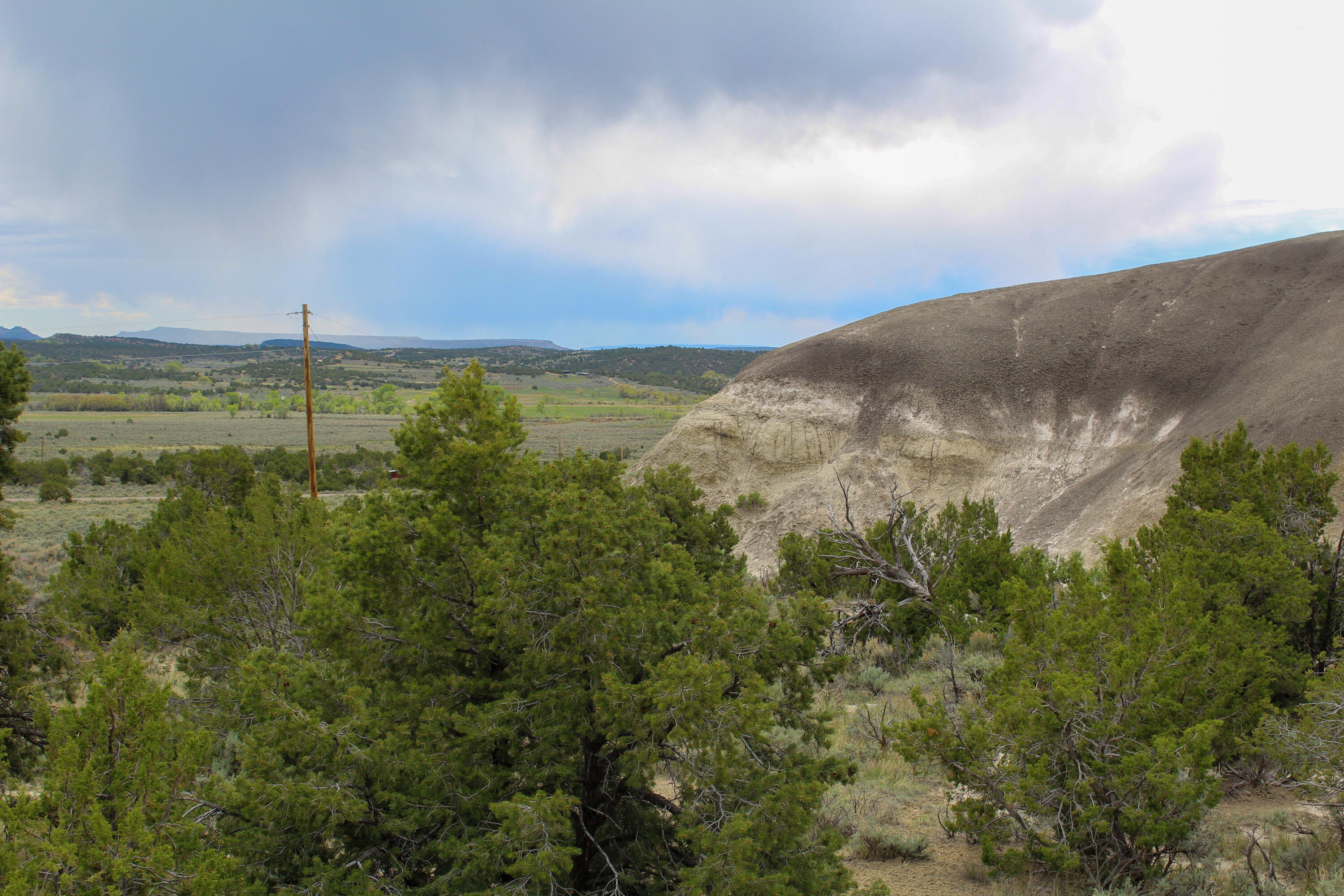 Photo 5 — TBD 200 County Rd 13 Road