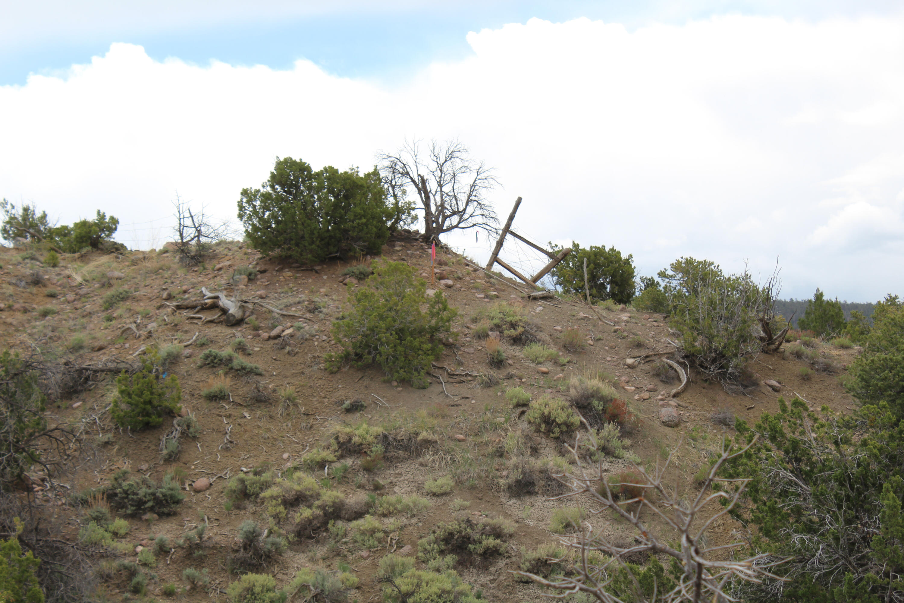 Photo 3 — TBD 200 County Rd 13 Road