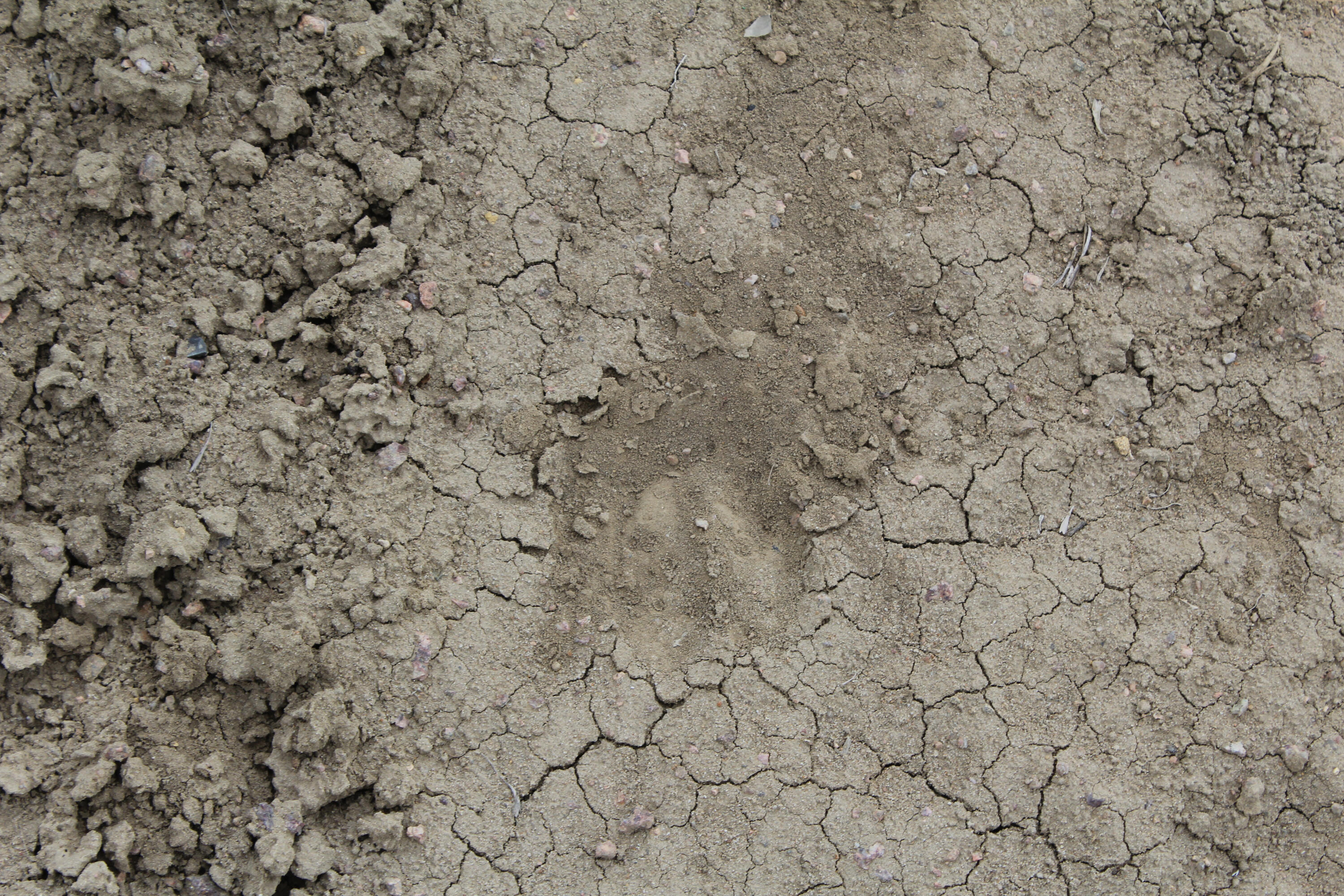Photo 2 — TBD 200 County Rd 13 Road