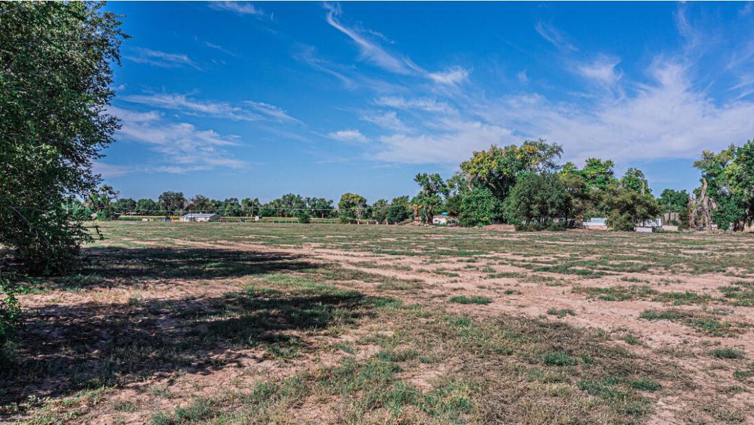 Photo 15 —  Main St & Edeal Rd