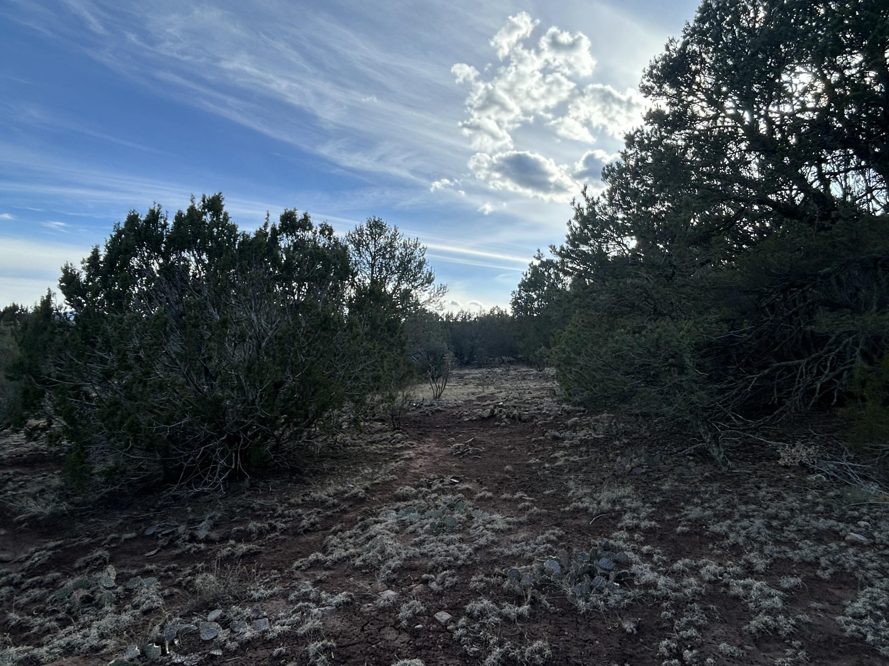 Photo 9 —  Melcor De Canoncito
