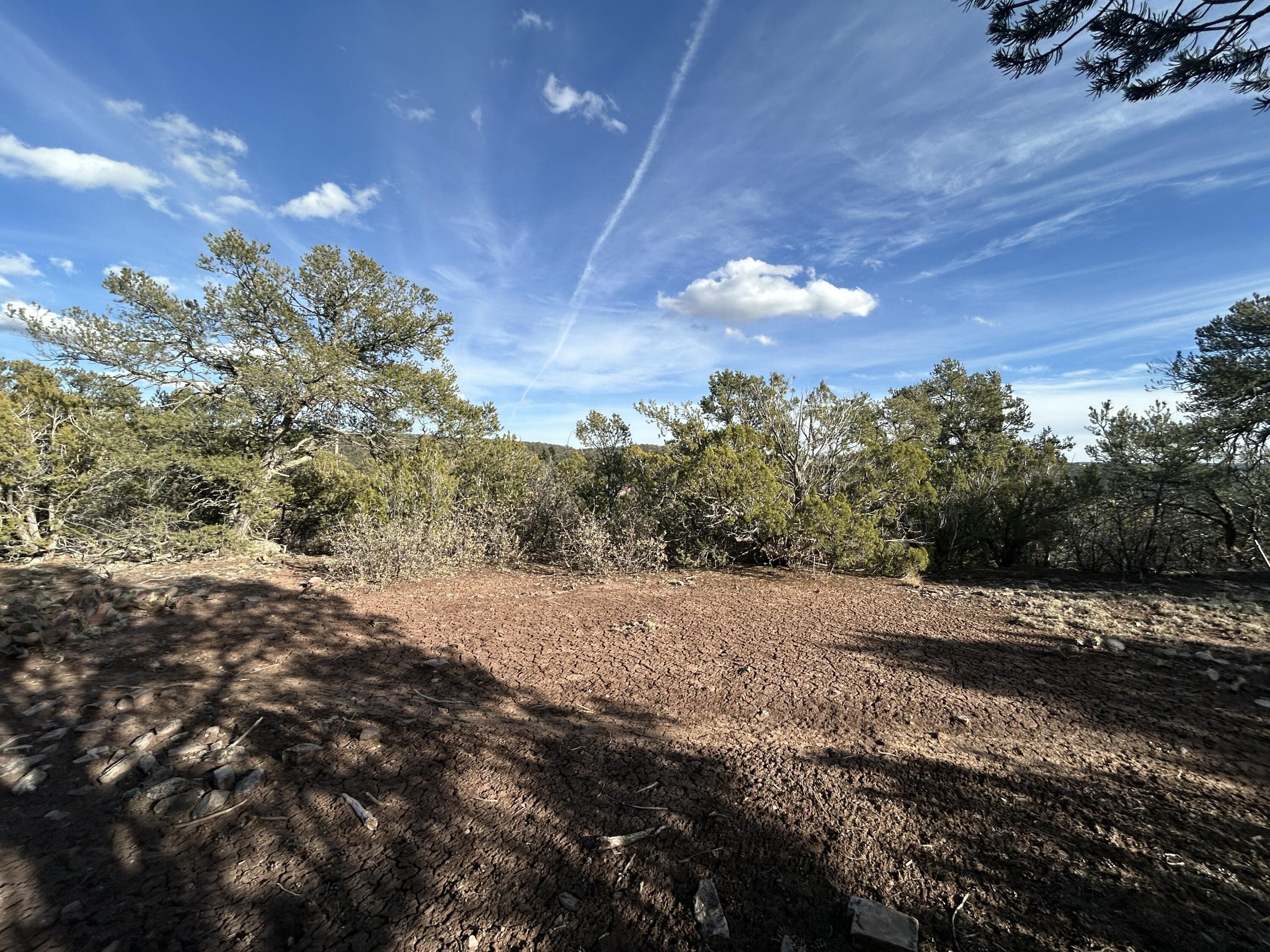 Photo 12 —  Melcor De Canoncito