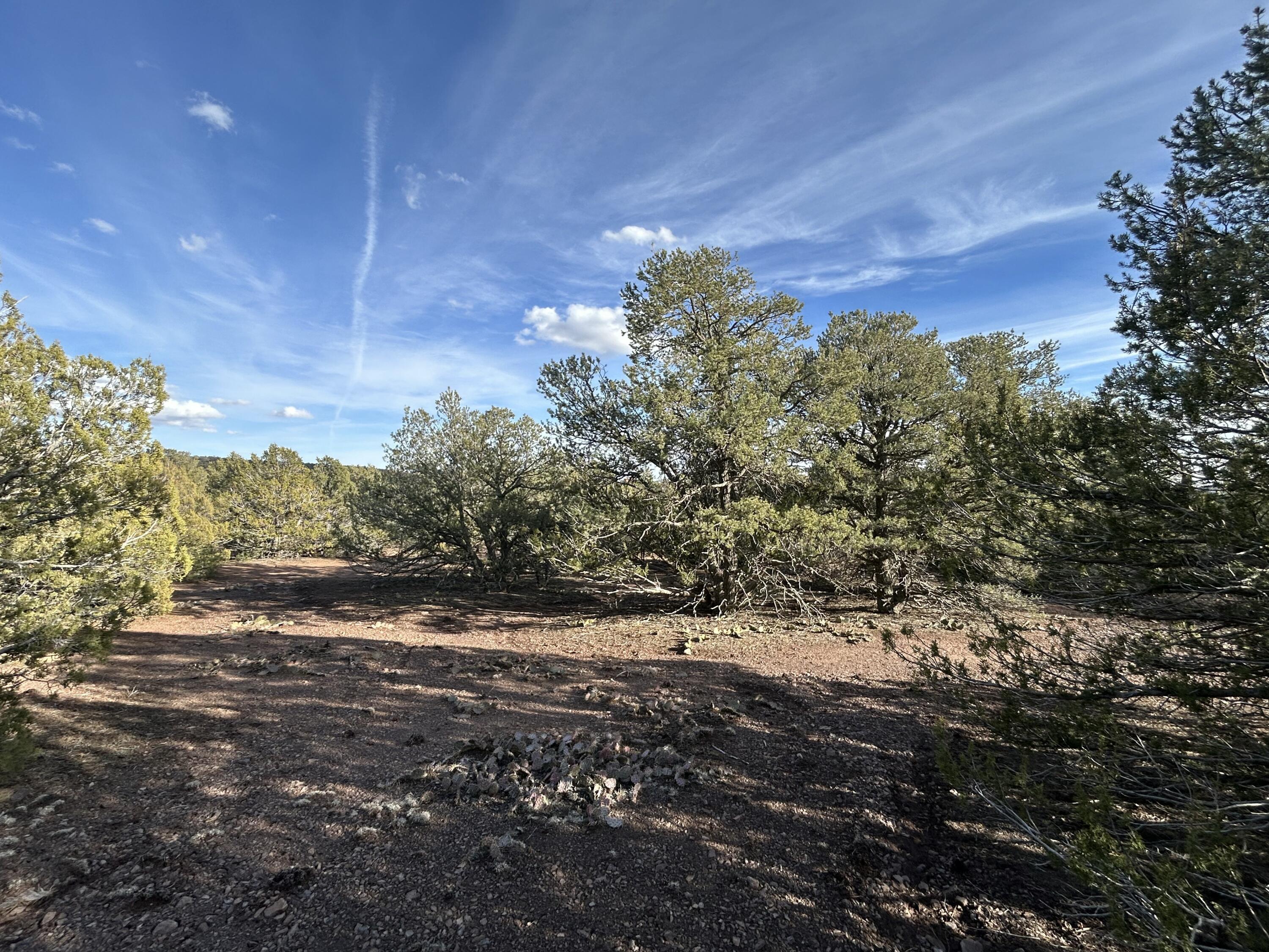 Photo 17 —  Melcor De Canoncito