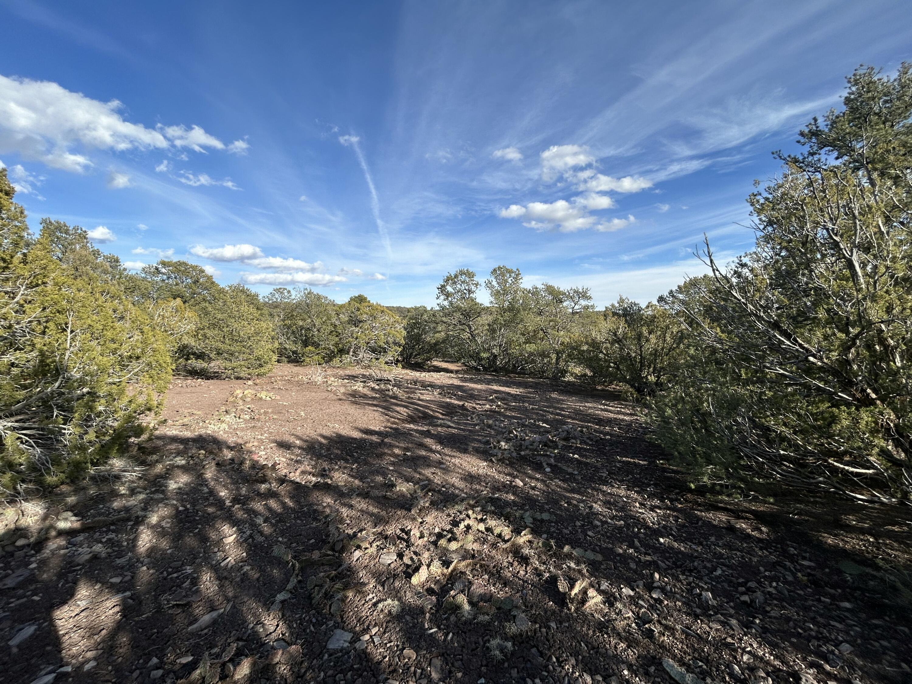 Photo 19 —  Melcor De Canoncito