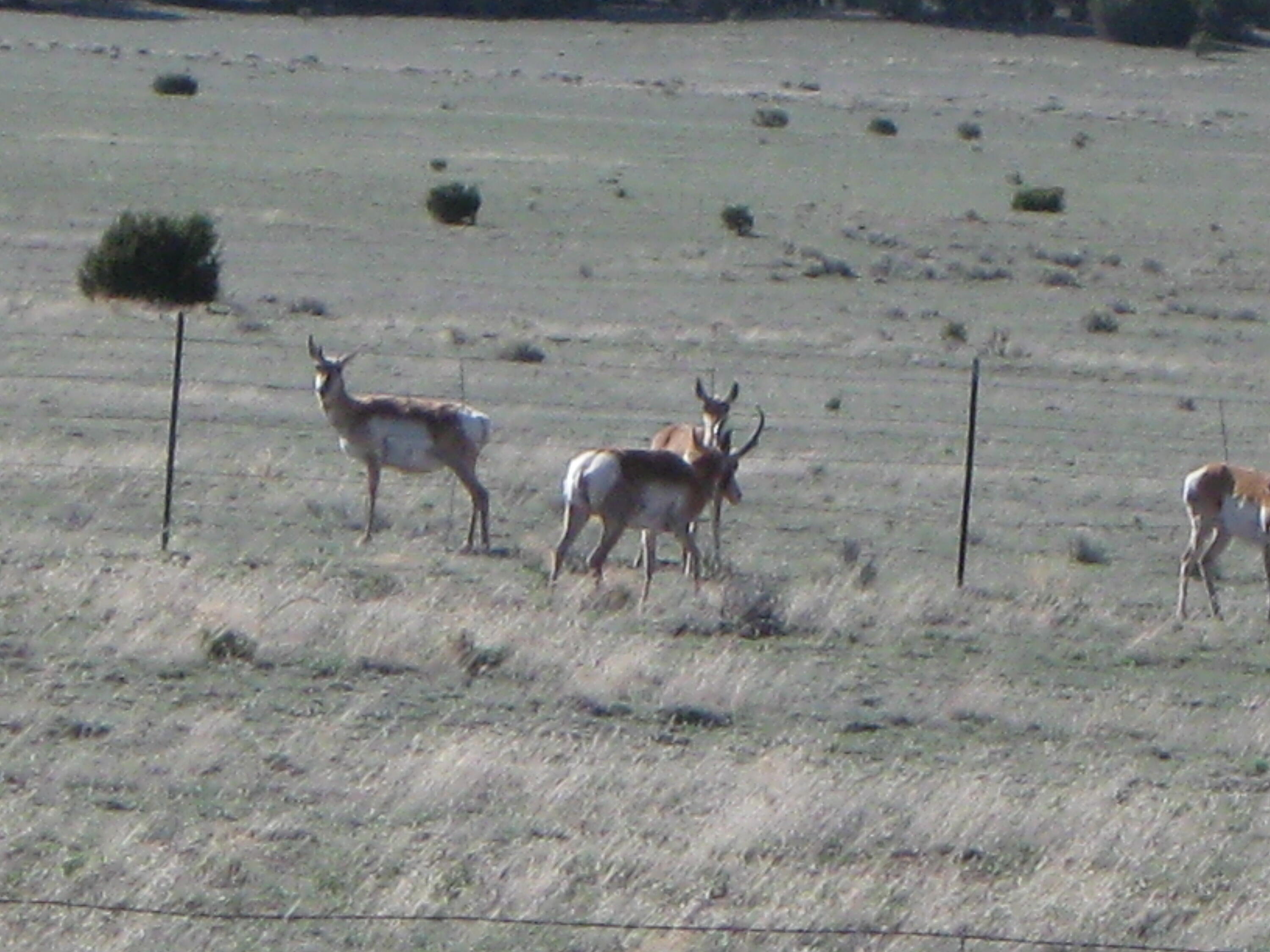 Photo 18 — 519 Highway 603
