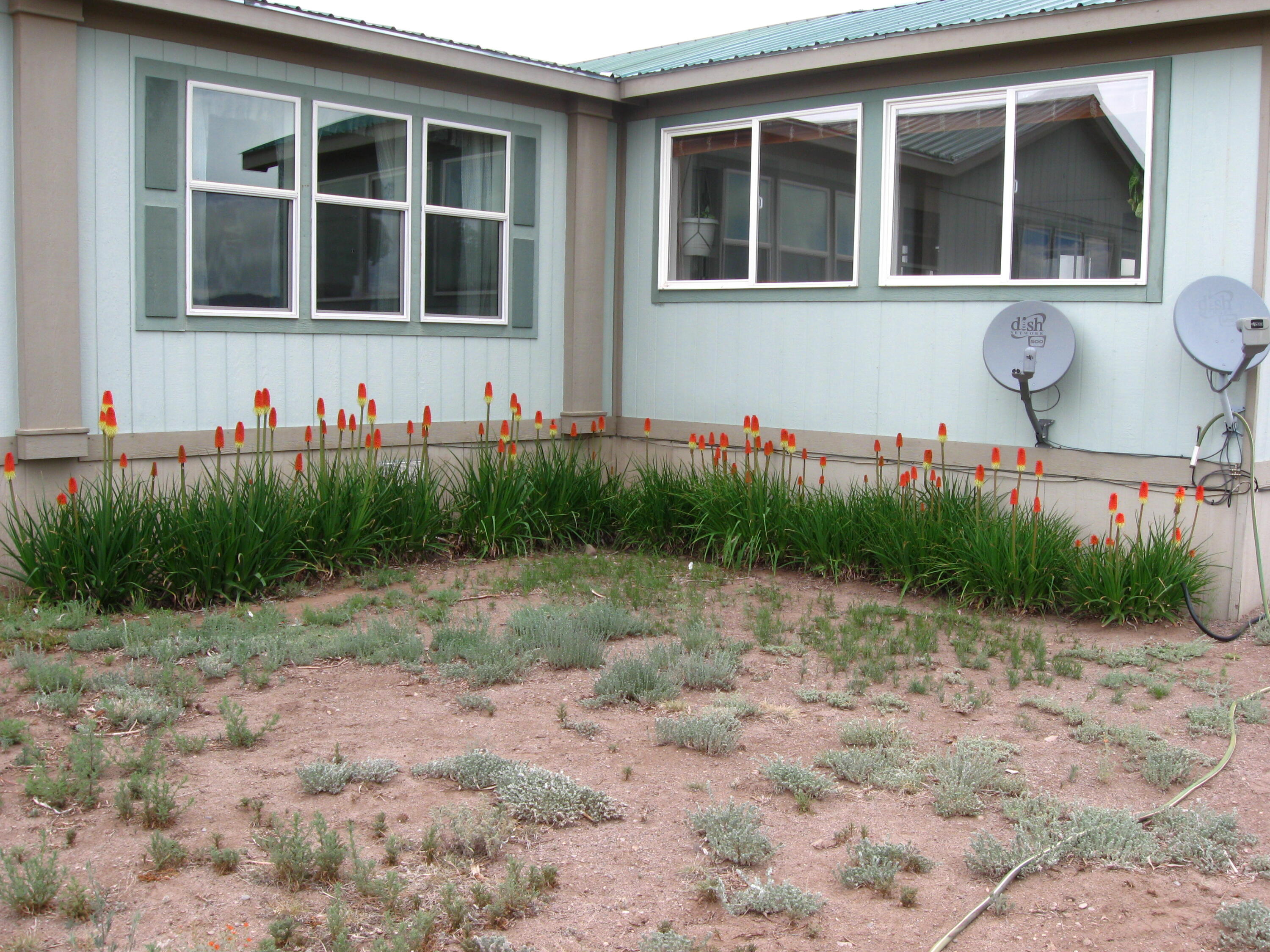 Photo 14 — 519 Highway 603