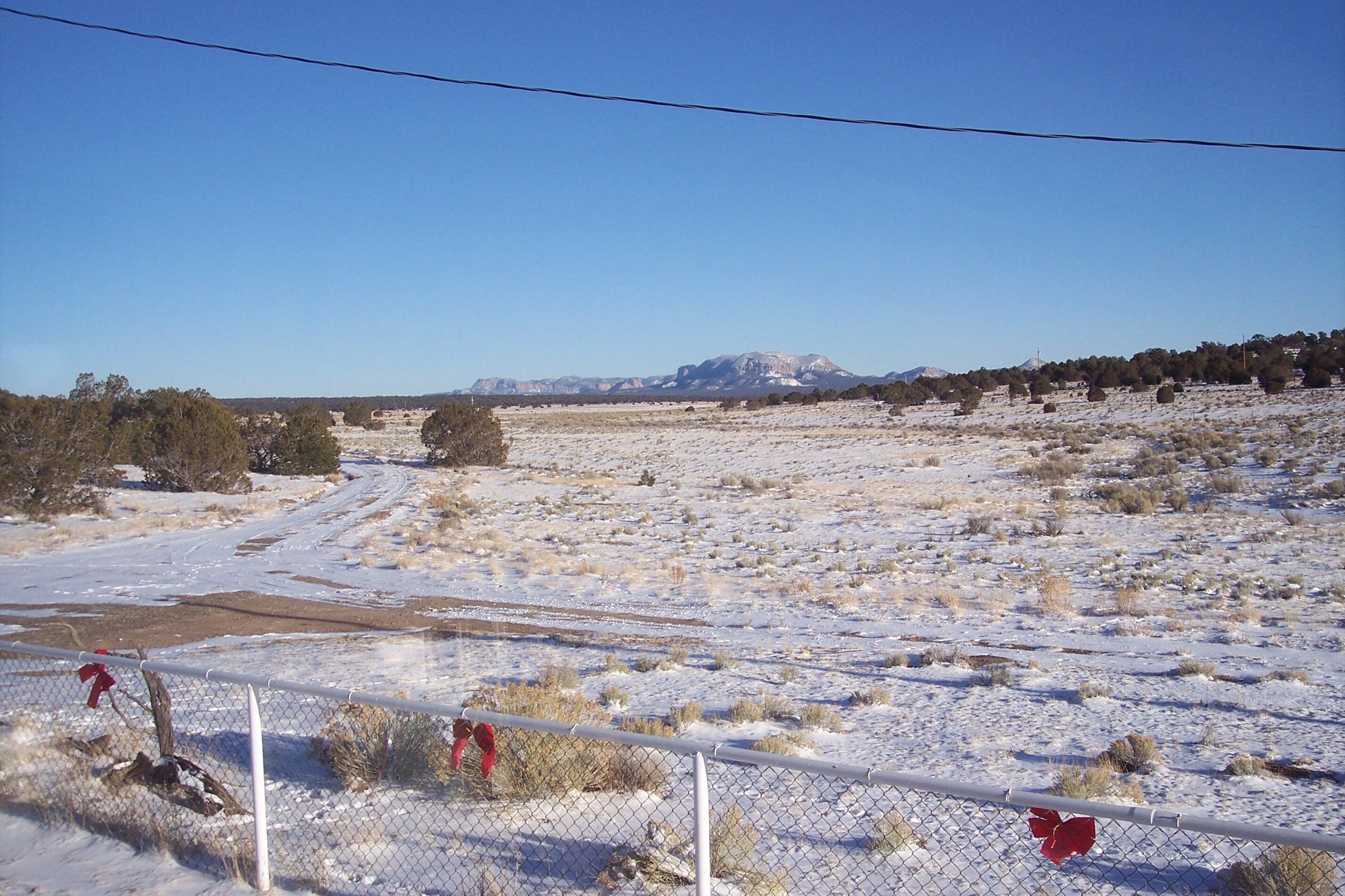 Photo 13 — 519 Highway 603