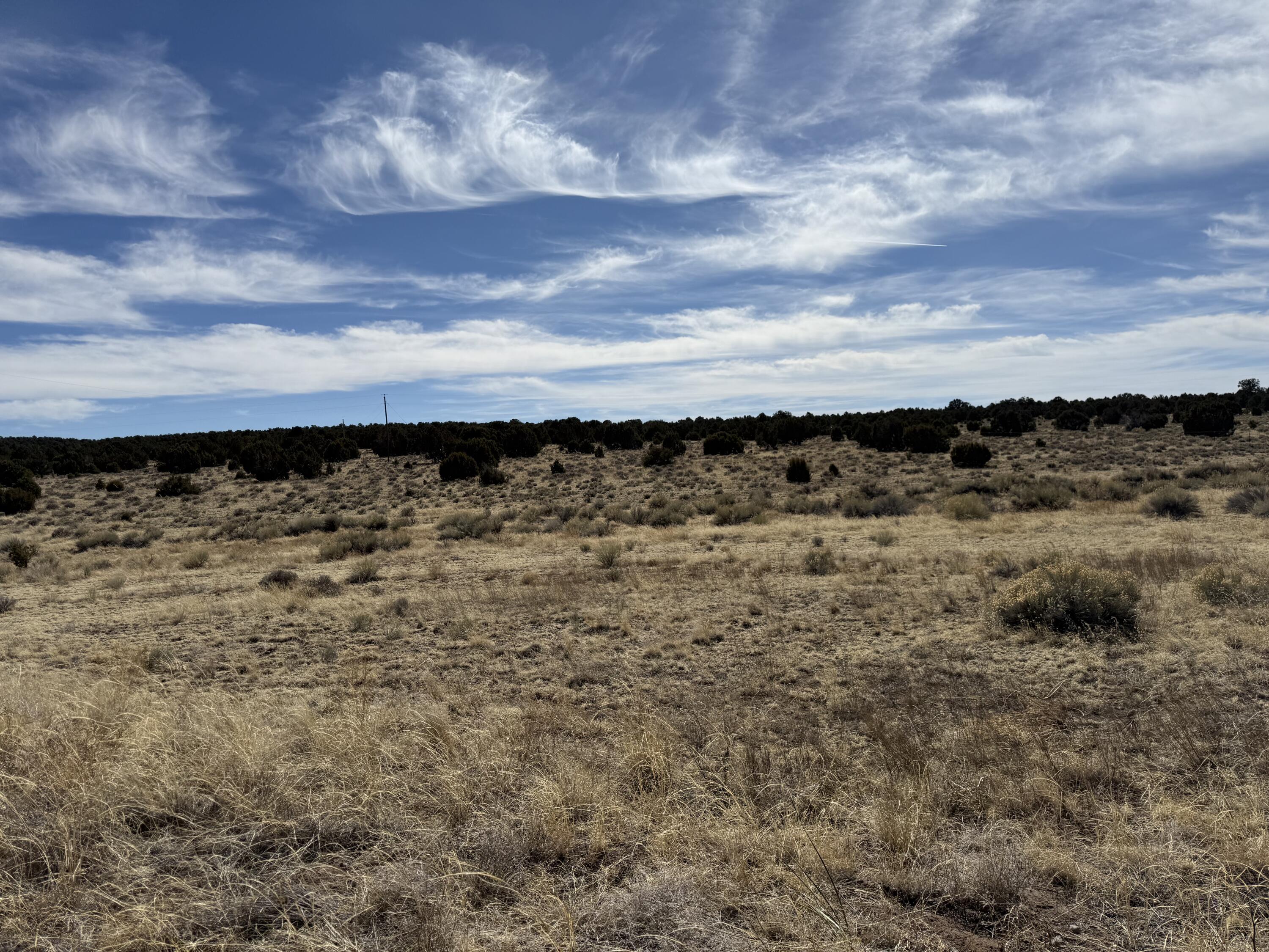 Photo 12 — 519 Highway 603
