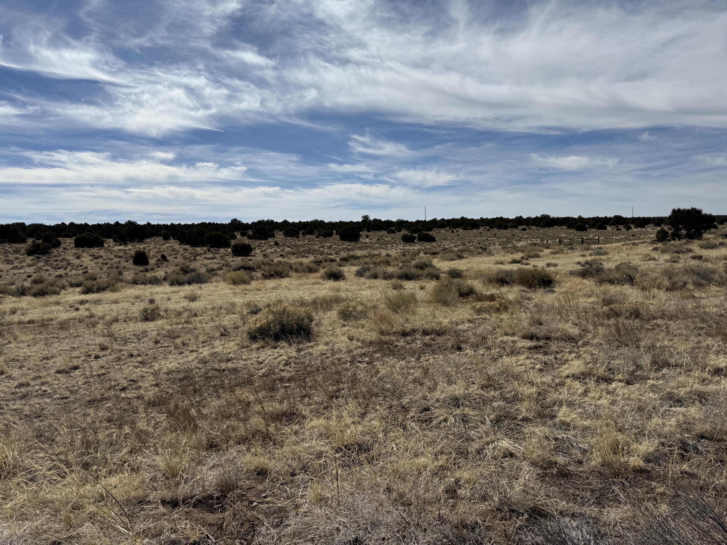 Photo 11 — 519 Highway 603