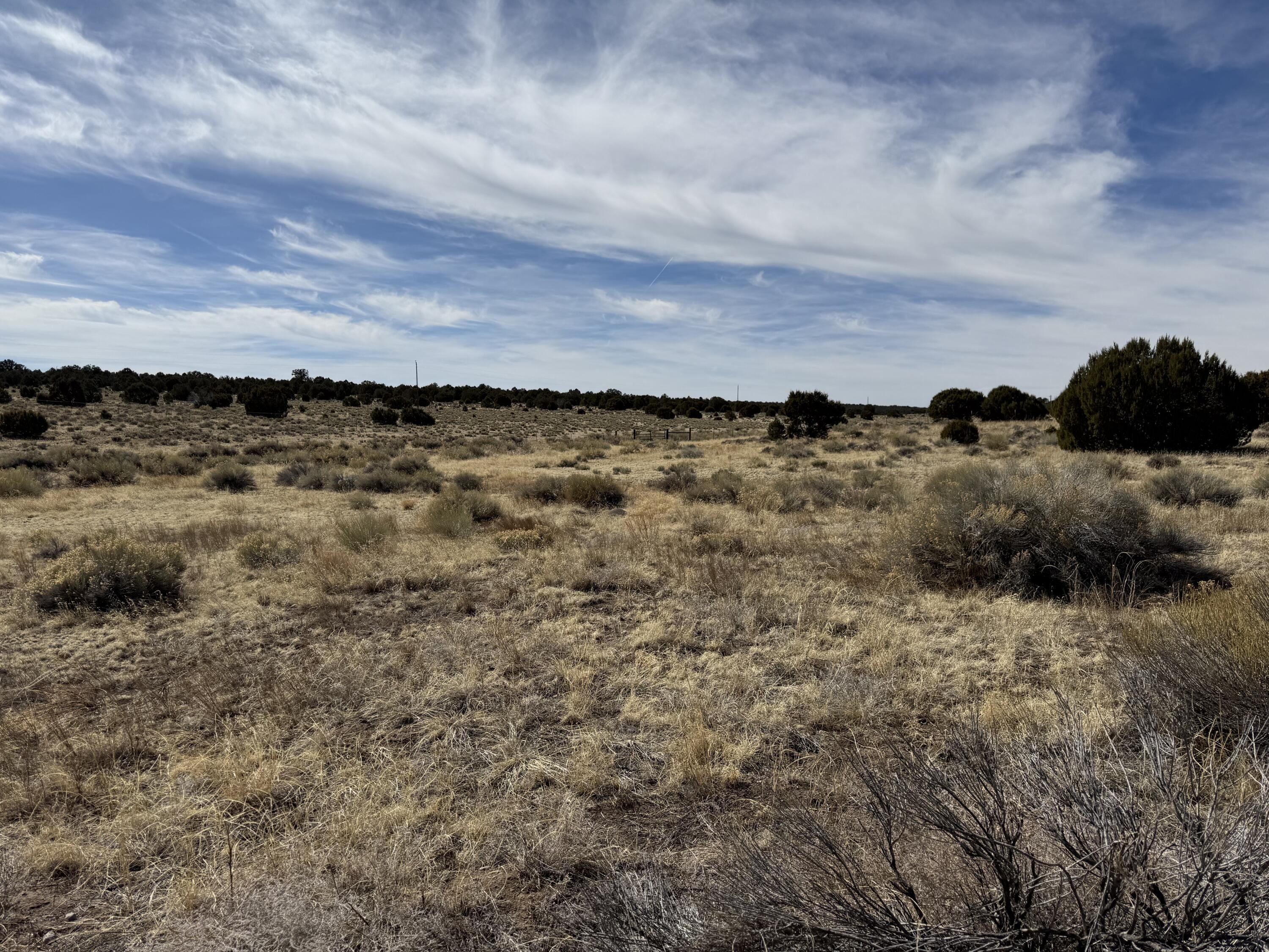 Photo 10 — 519 Highway 603