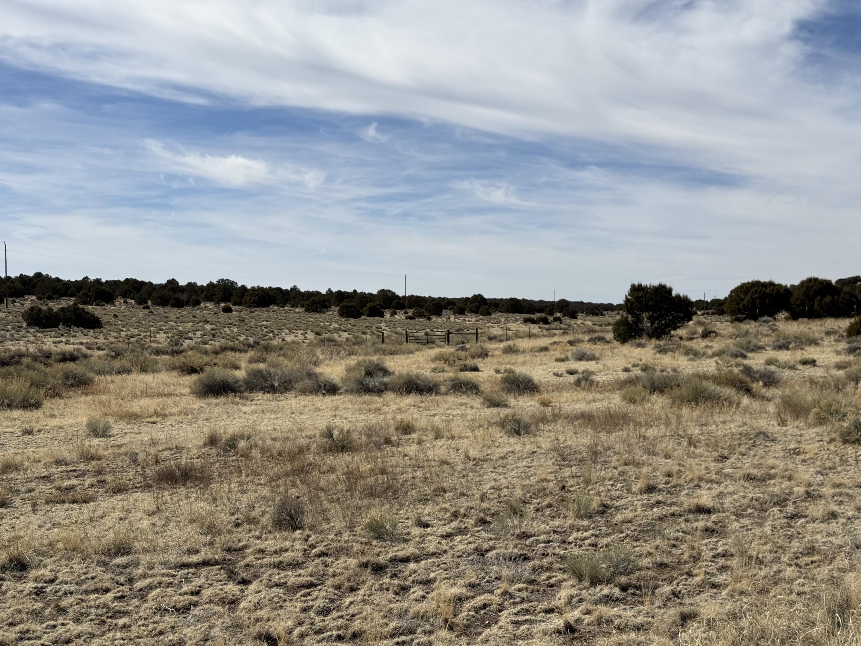 Photo 9 — 519 Highway 603