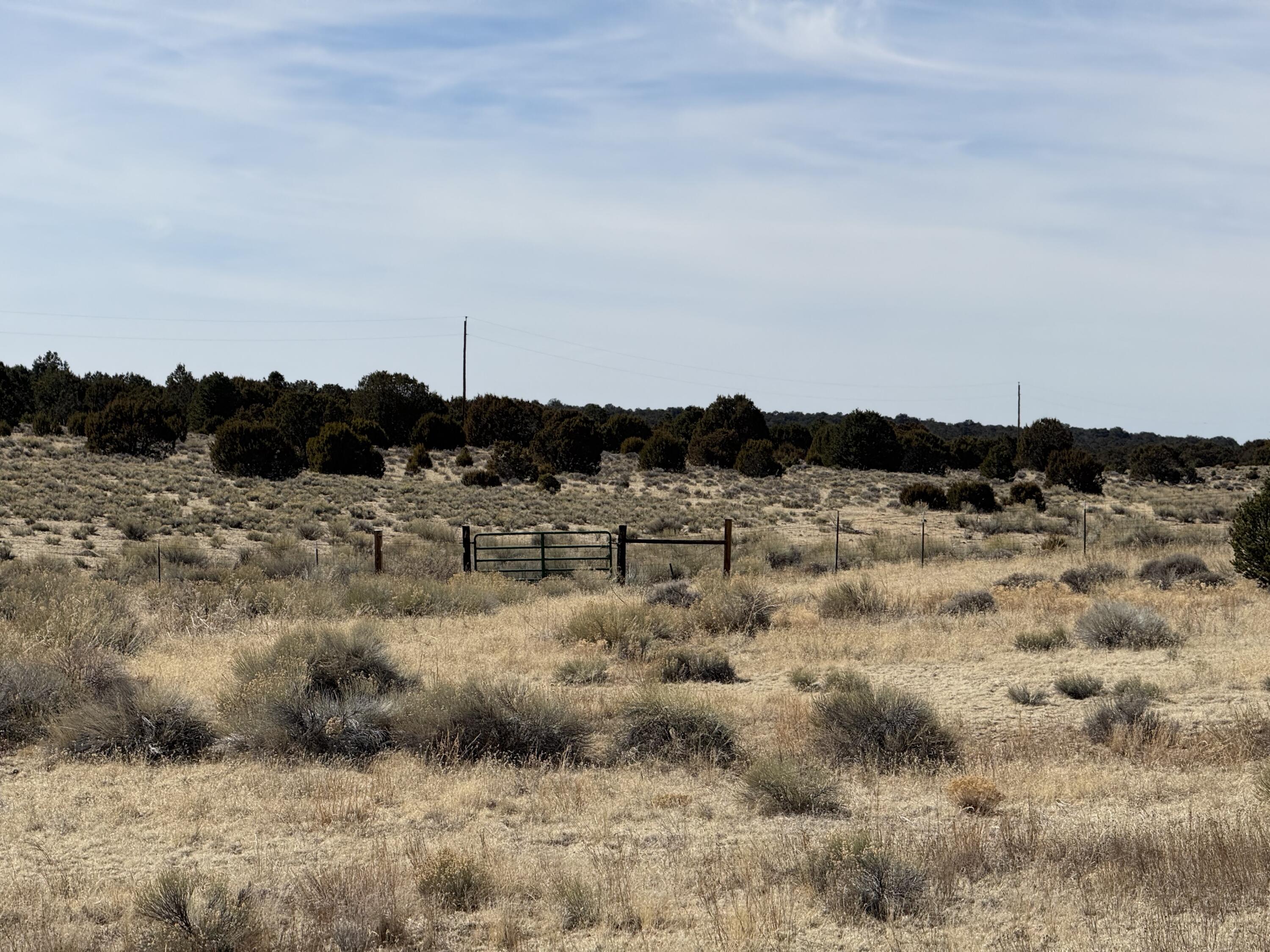 Photo 8 — 519 Highway 603