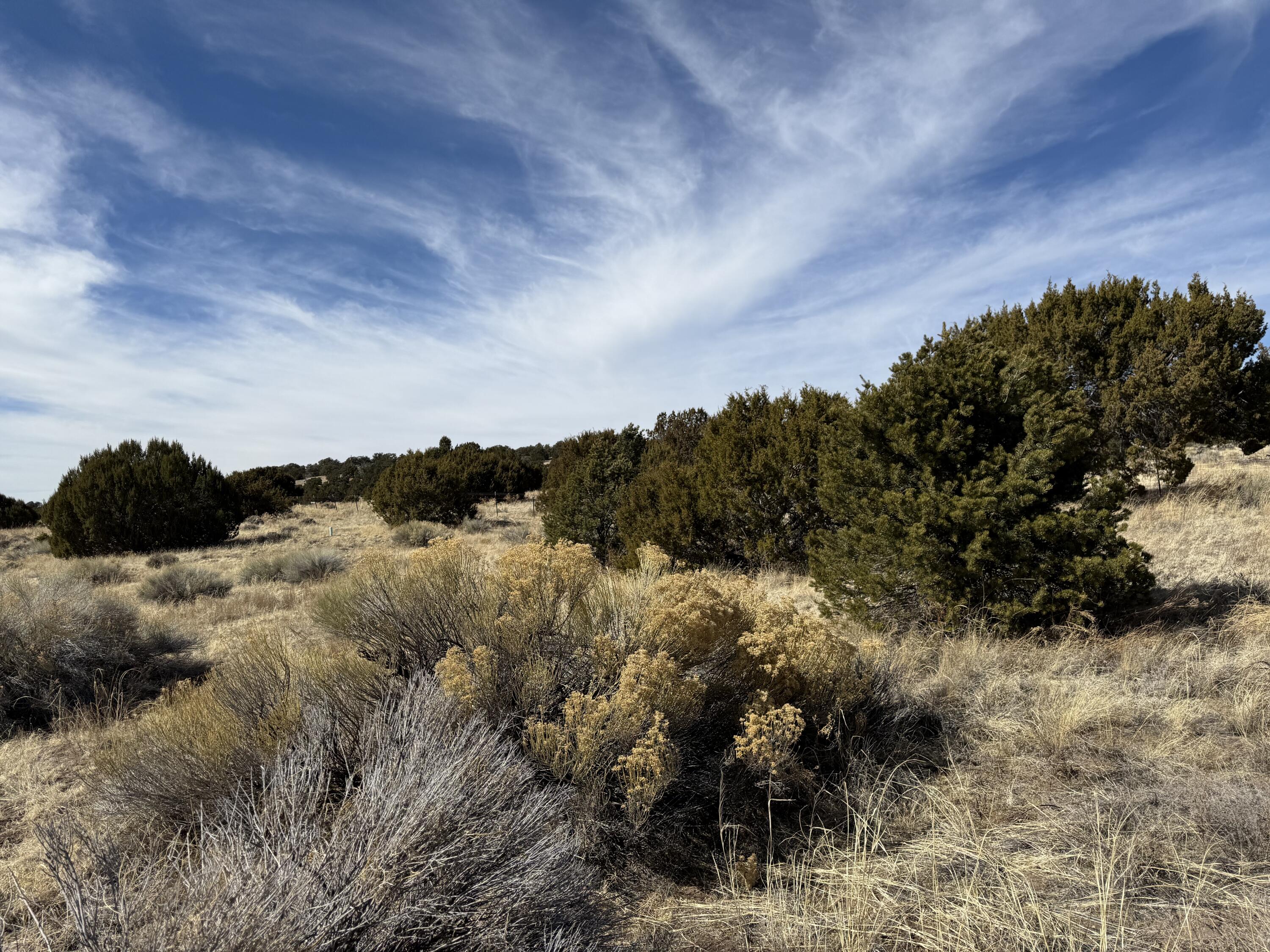 Photo 6 — 519 Highway 603