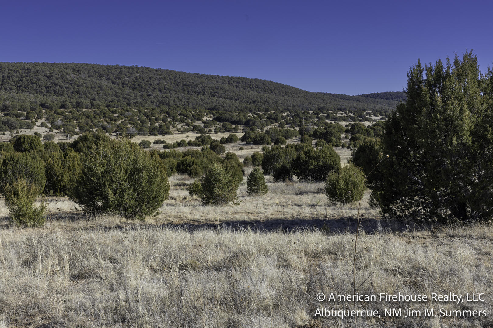 Photo 11 —  East Trail