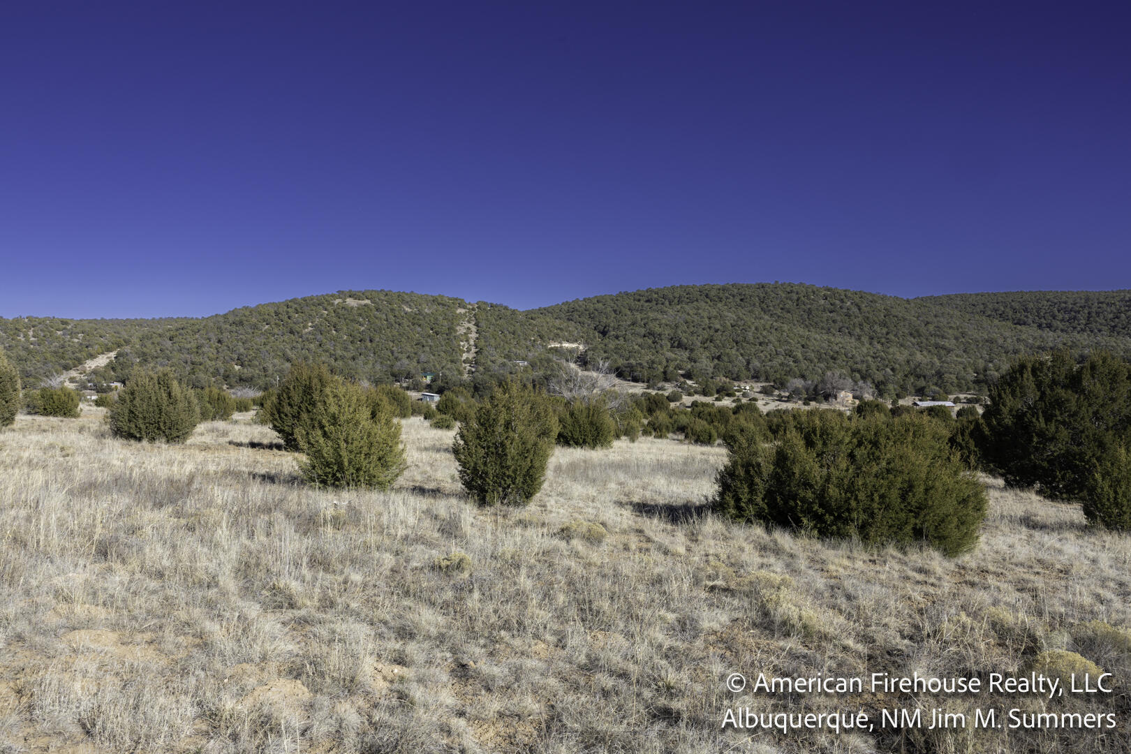 Photo 10 —  East Trail