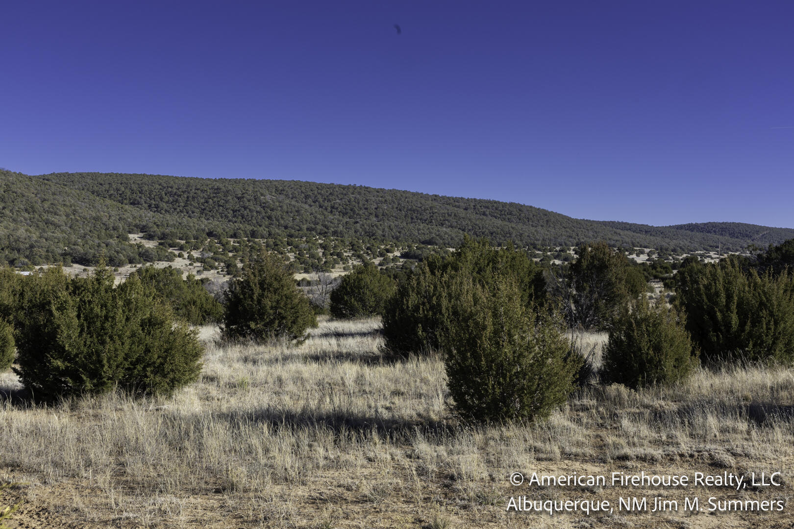 Photo 9 —  East Trail