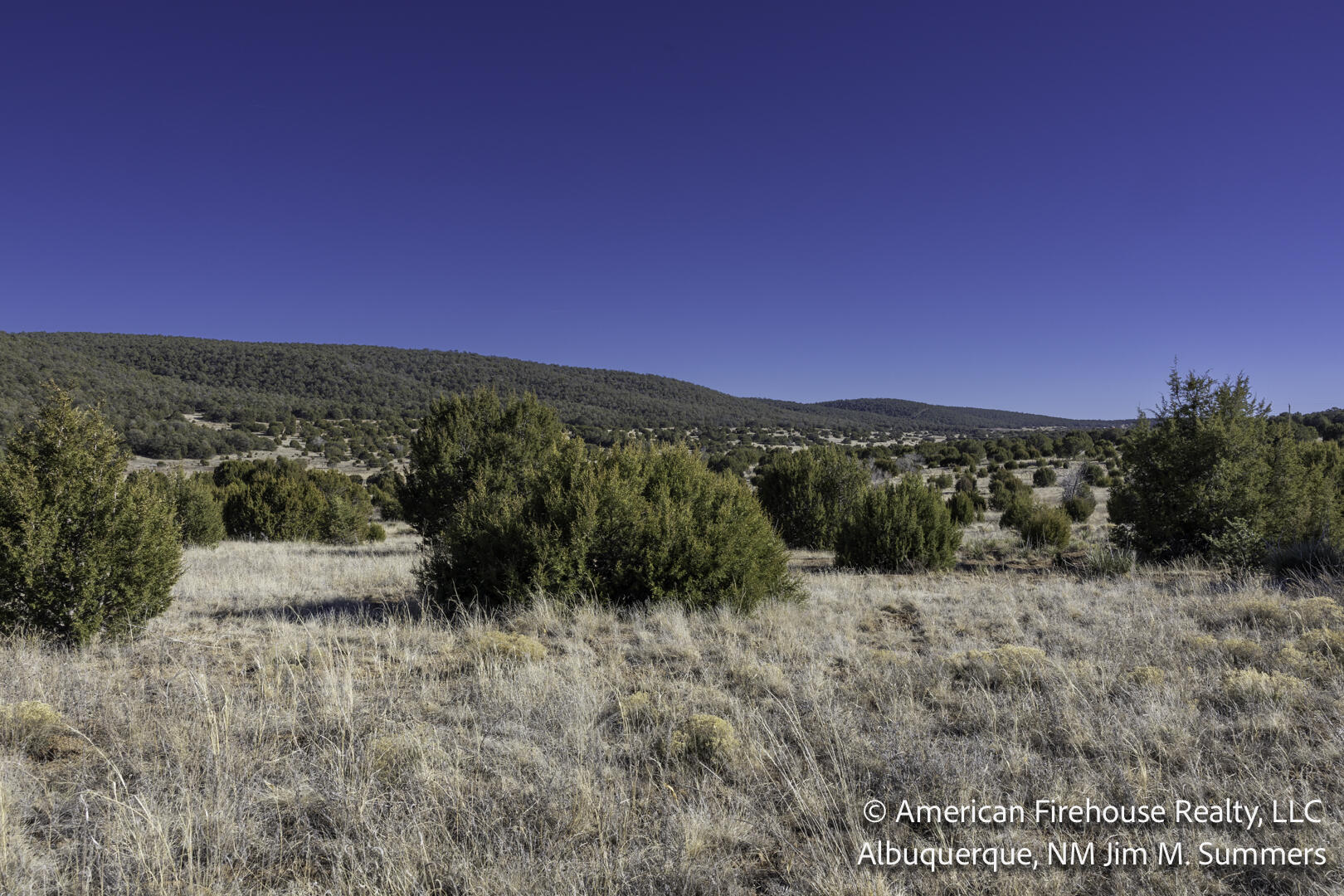 Photo 8 —  East Trail