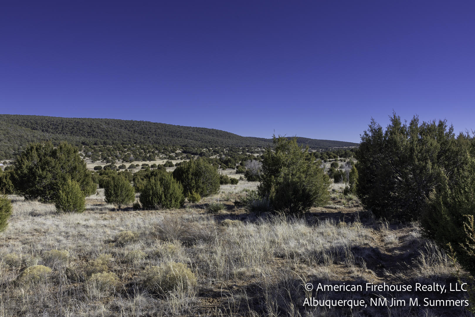 Photo 7 —  East Trail