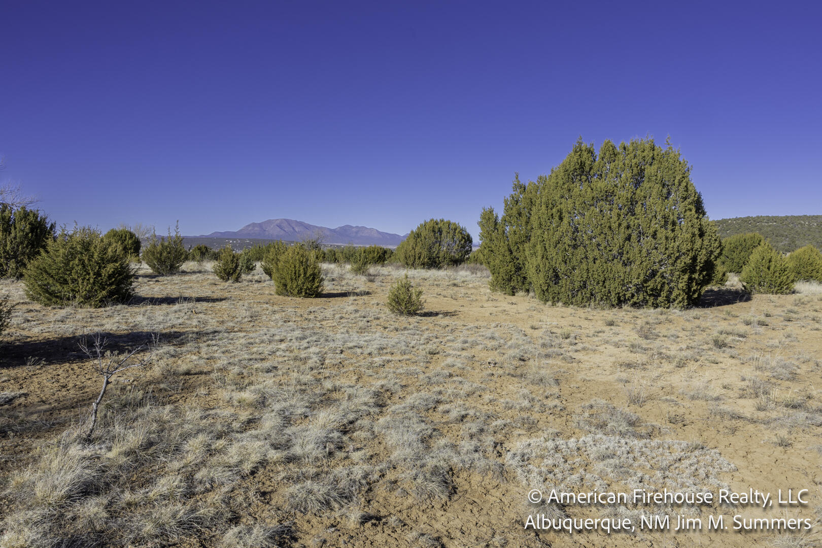 Photo 6 —  East Trail