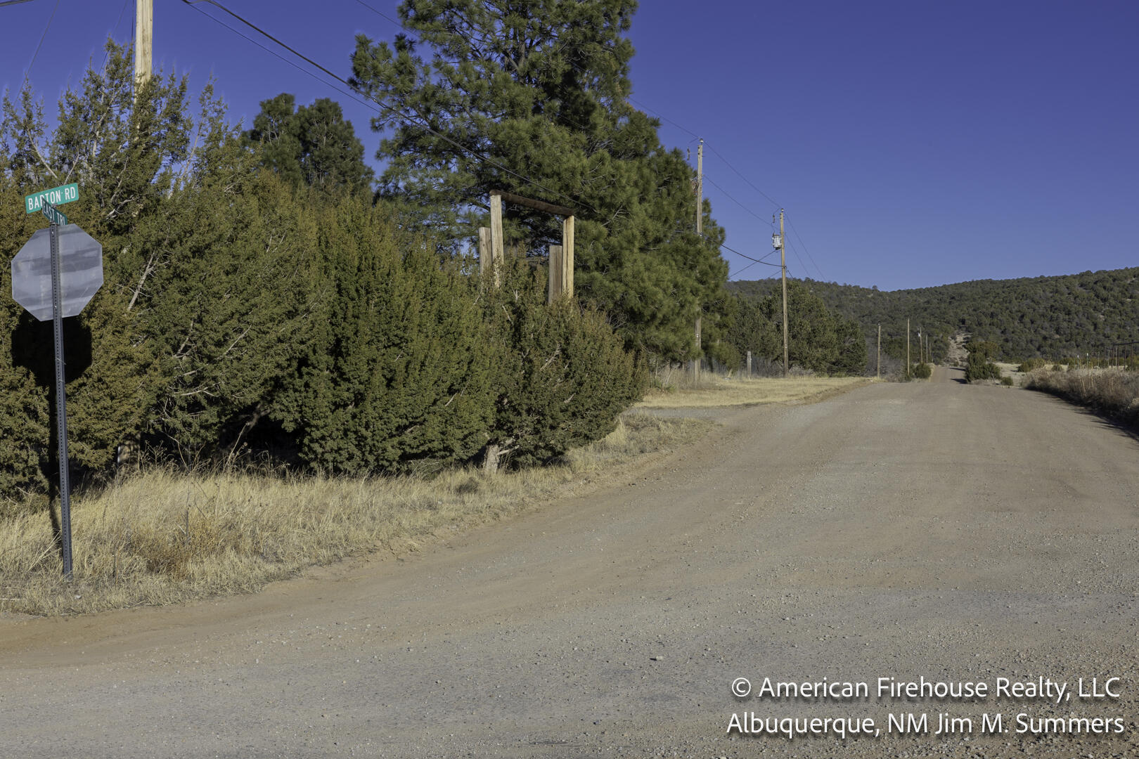 Photo 4 —  East Trail