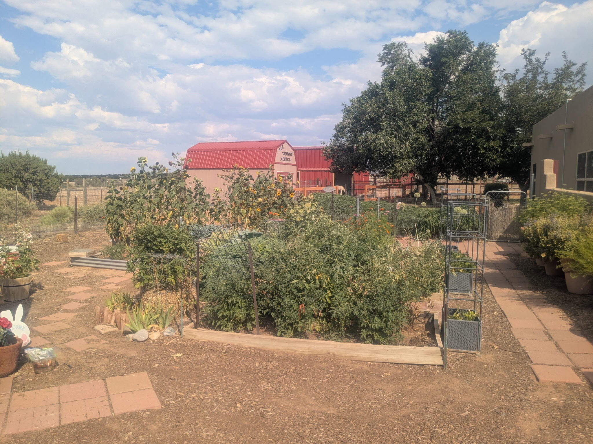 Photo 5 — 25 Arroyito