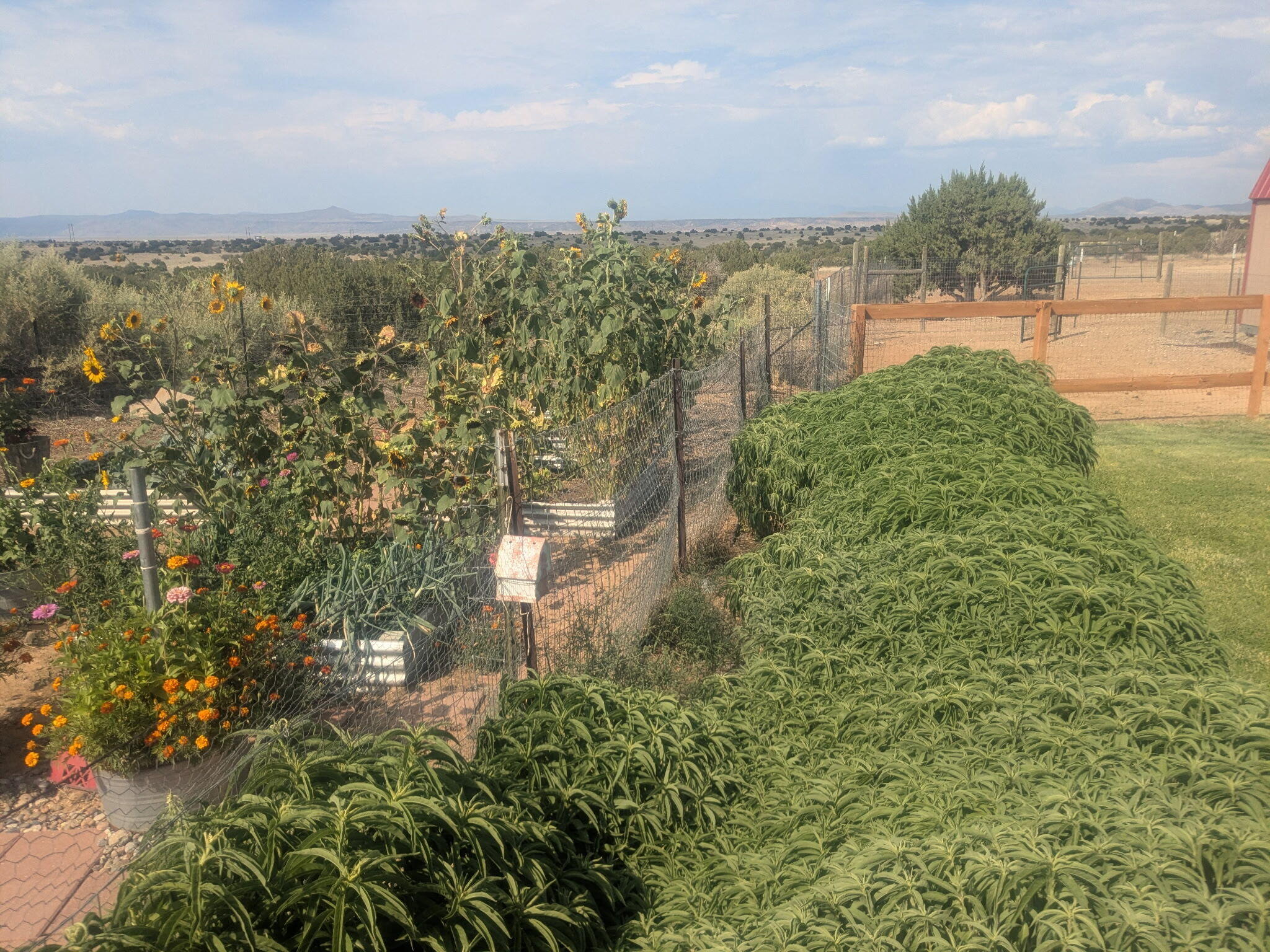 Photo 12 — 25 Arroyito