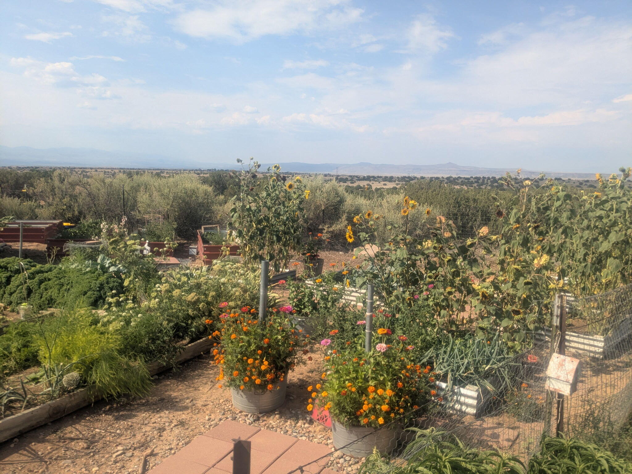 Photo 11 — 25 Arroyito