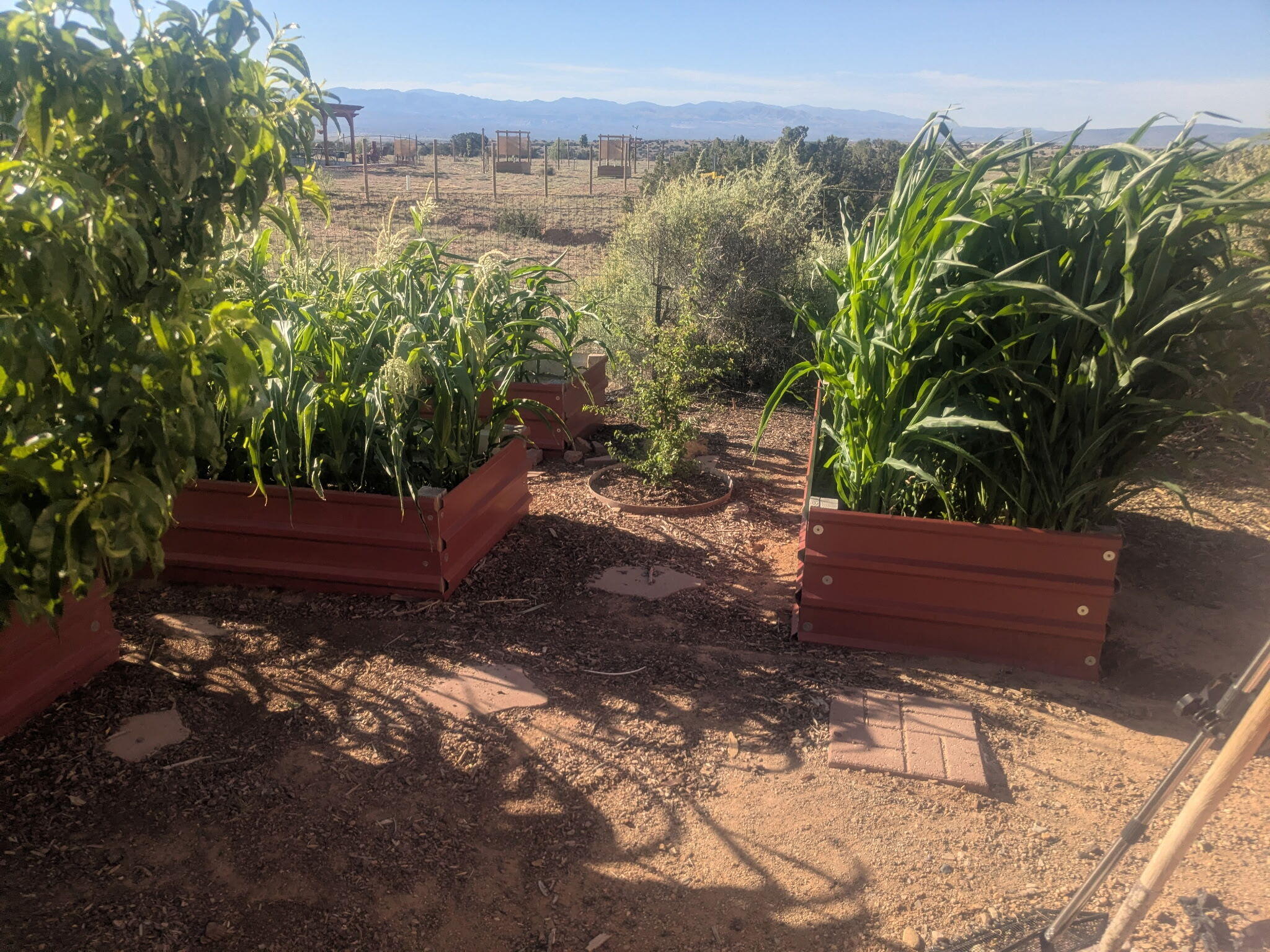 Photo 5 — 25 Arroyito