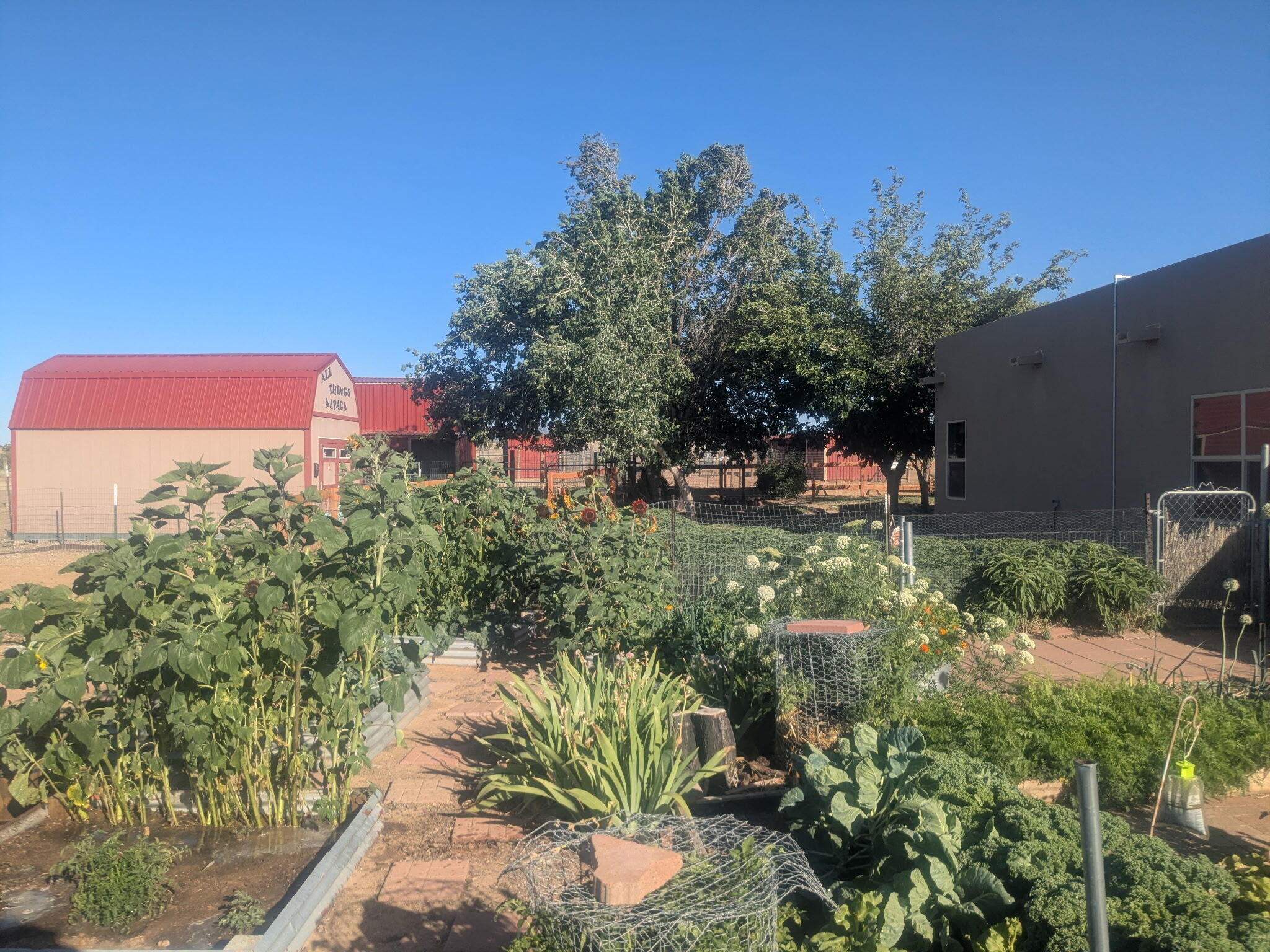 Photo 3 — 25 Arroyito