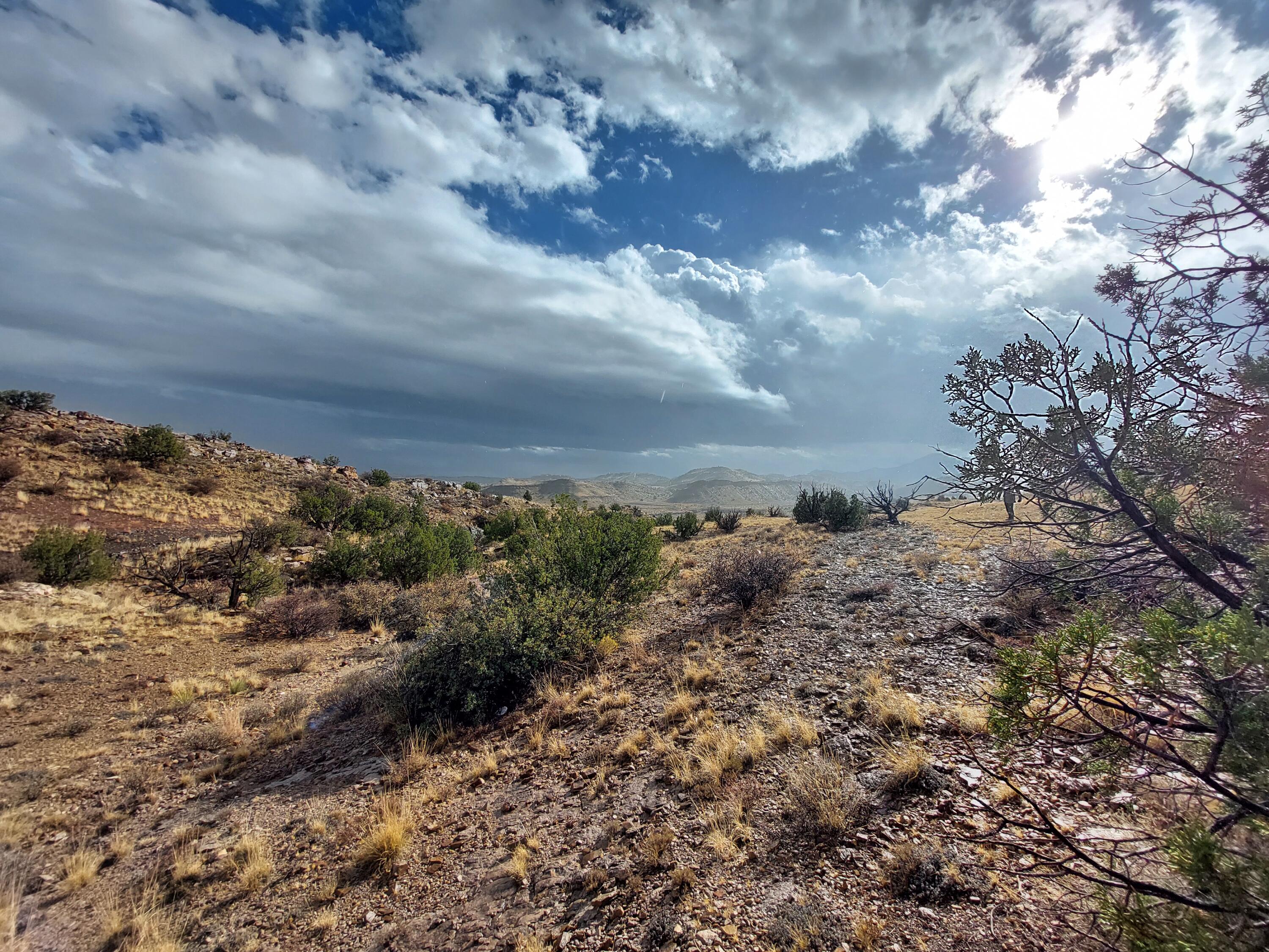 Photo 2 —  Lot 48 Santa Rita Ranches