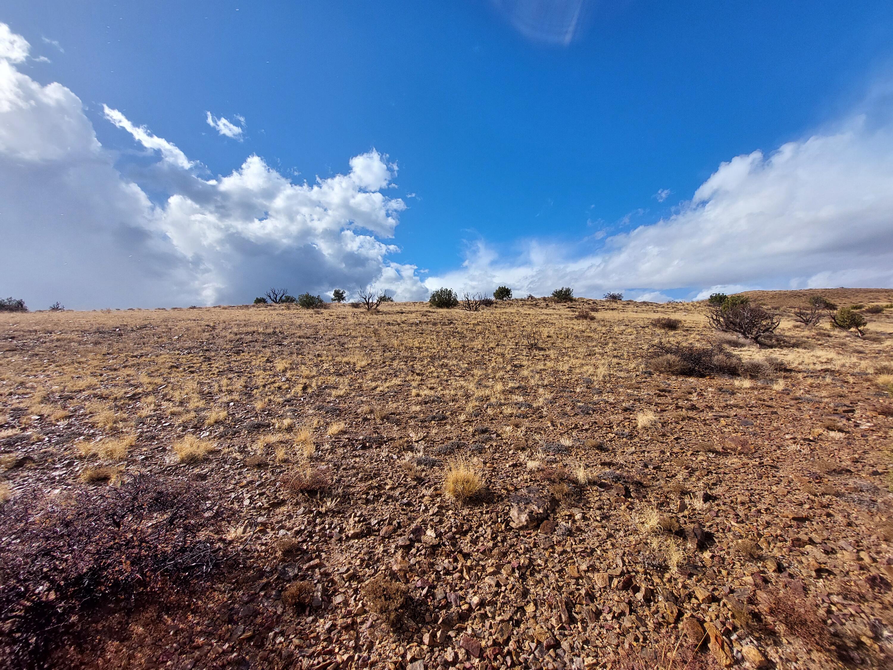Photo 3 —  Lot 48 Santa Rita Ranches