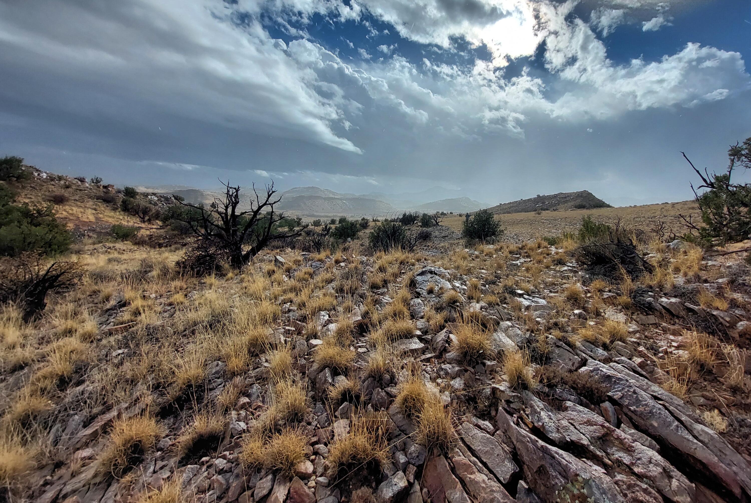 Photo 4 —  Lot 48 Santa Rita Ranches