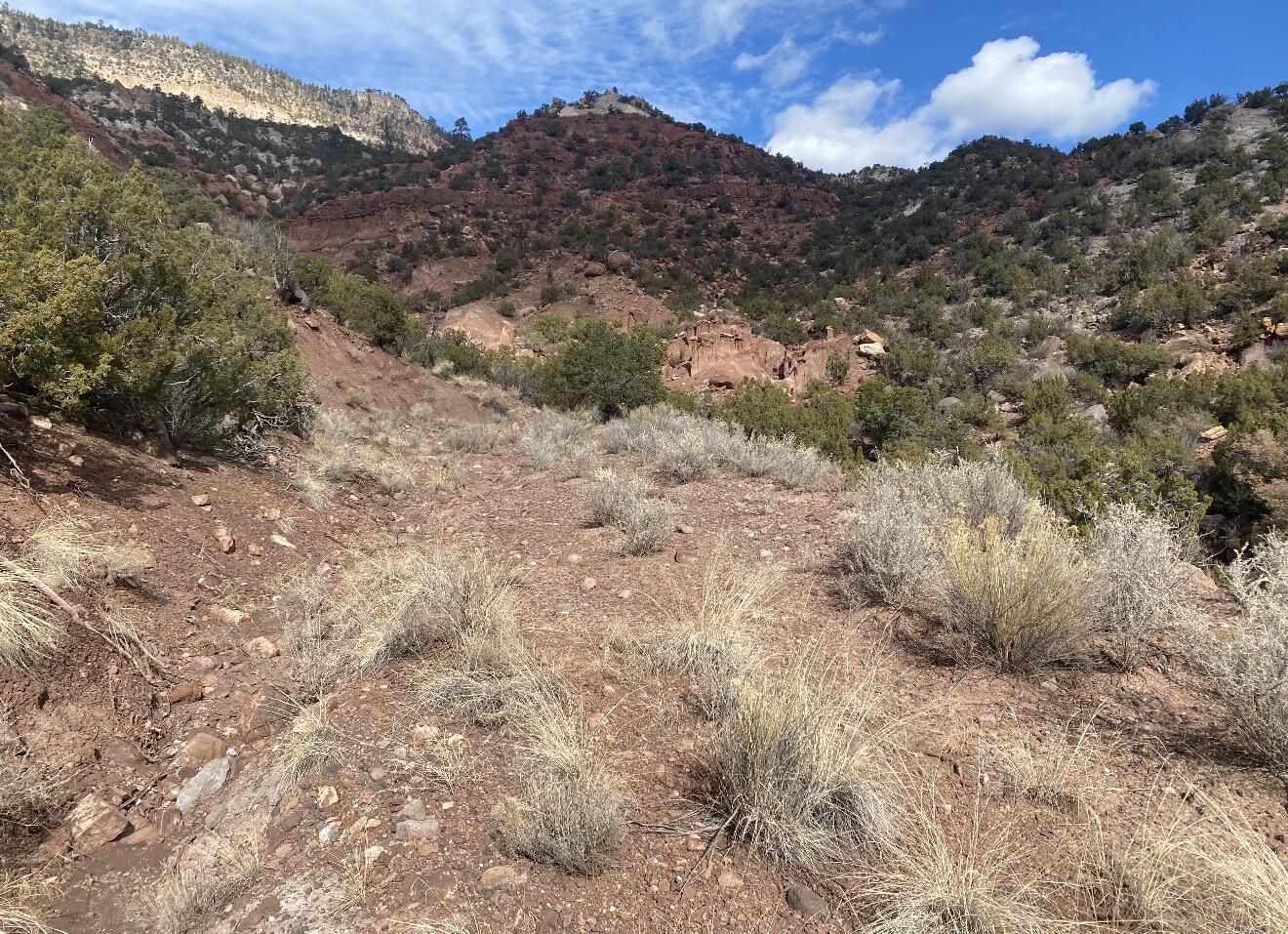 Photo 7 —  LANDS OF GREEN MAGGIE LOT 2