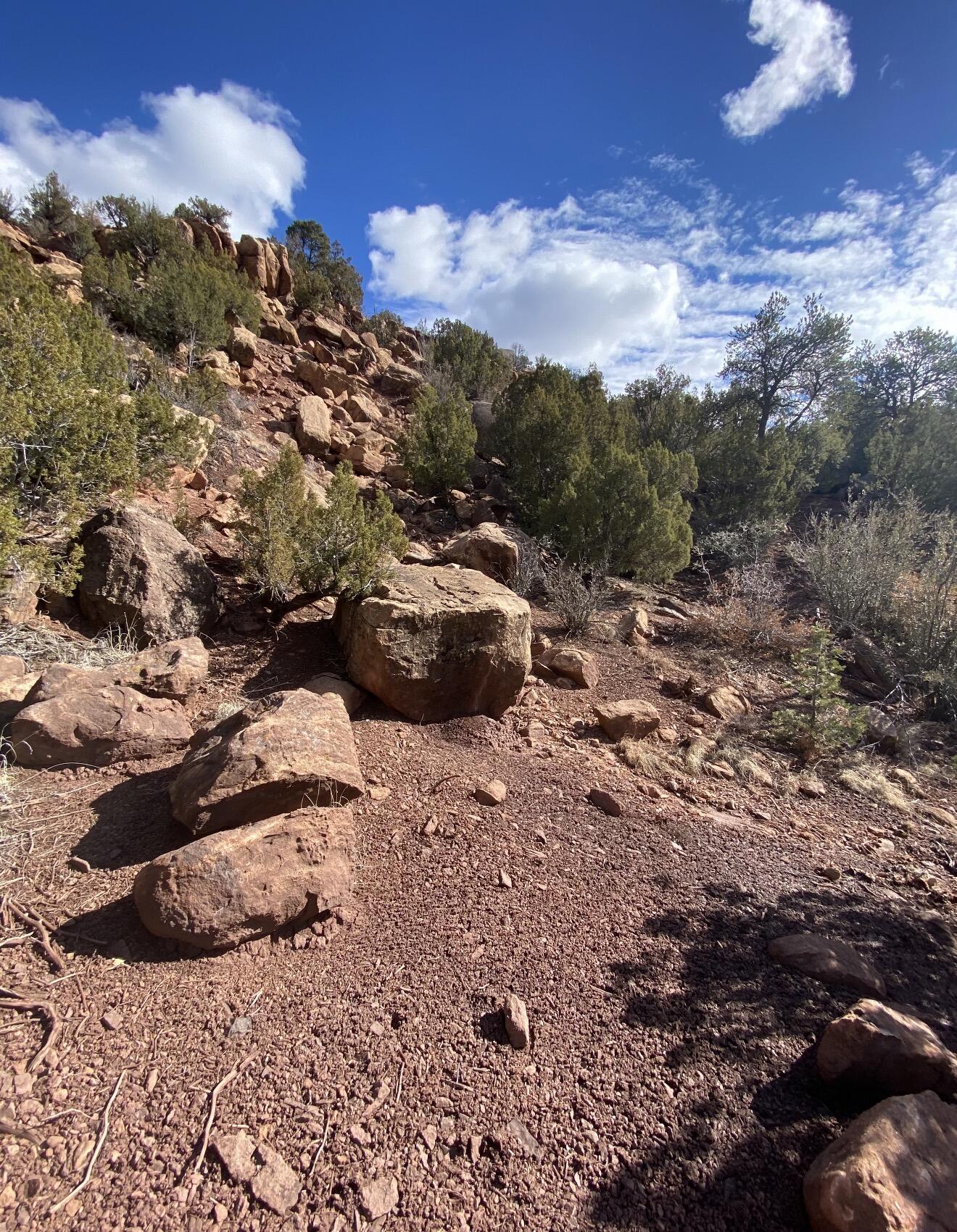 Photo 5 —  LANDS OF GREEN MAGGIE LOT 2