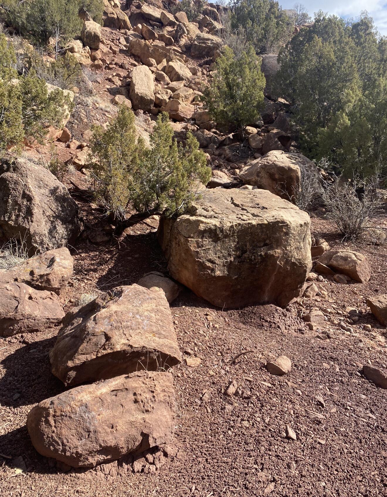 Photo 4 —  LANDS OF GREEN MAGGIE LOT 2