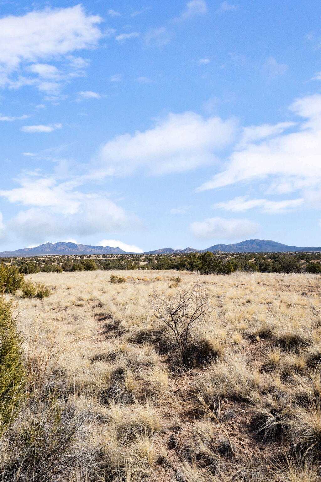 Photo 4 — 86 Turquoise Drive