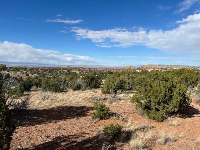 Photo 18 — 105 Montezuma Court