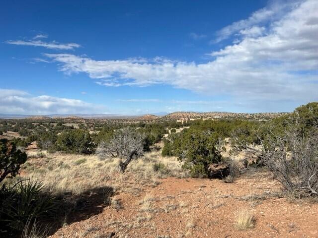 Photo 17 — 105 Montezuma Court