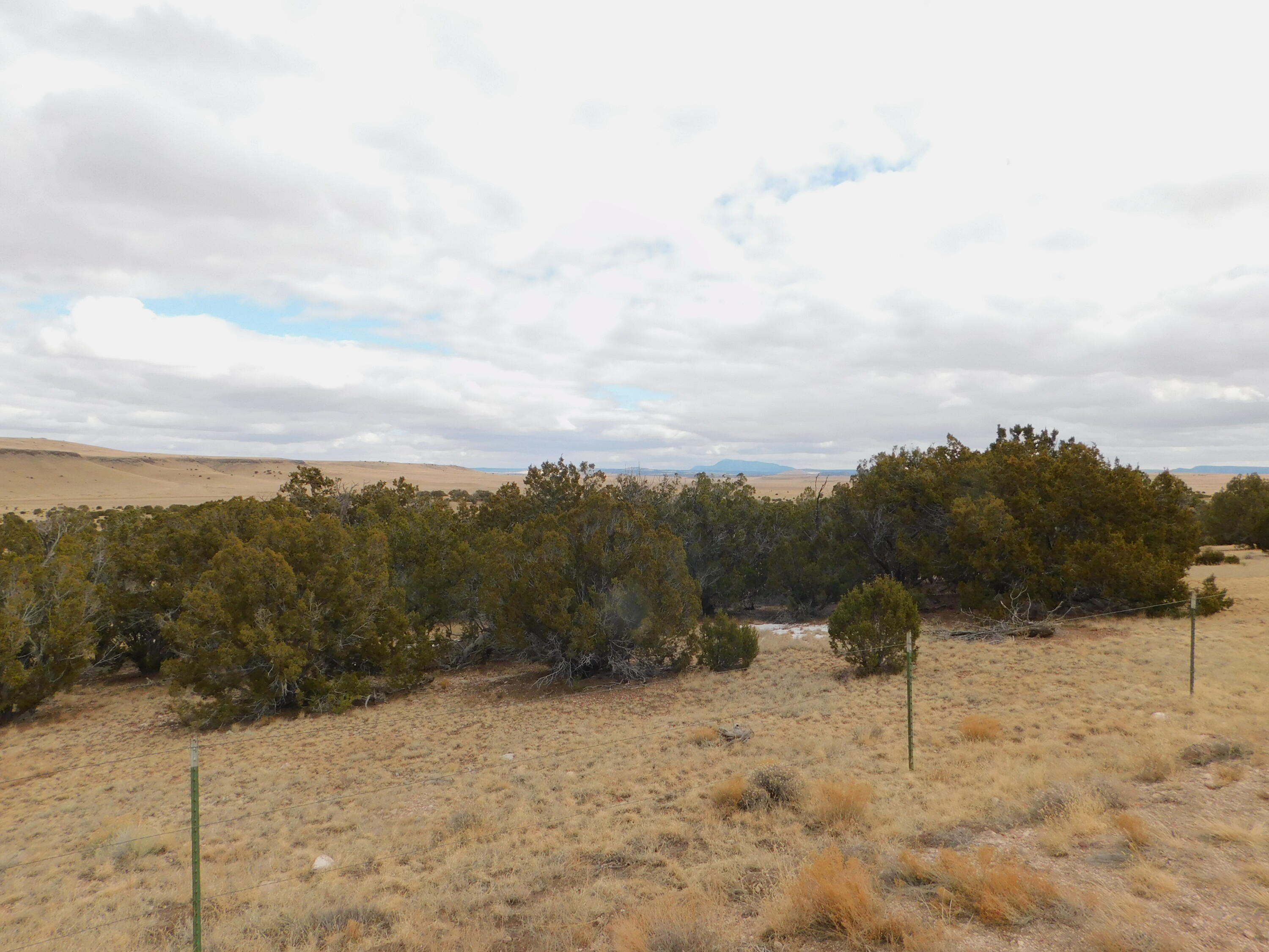 Photo 14 — 52 & 62 Wildflower Trail