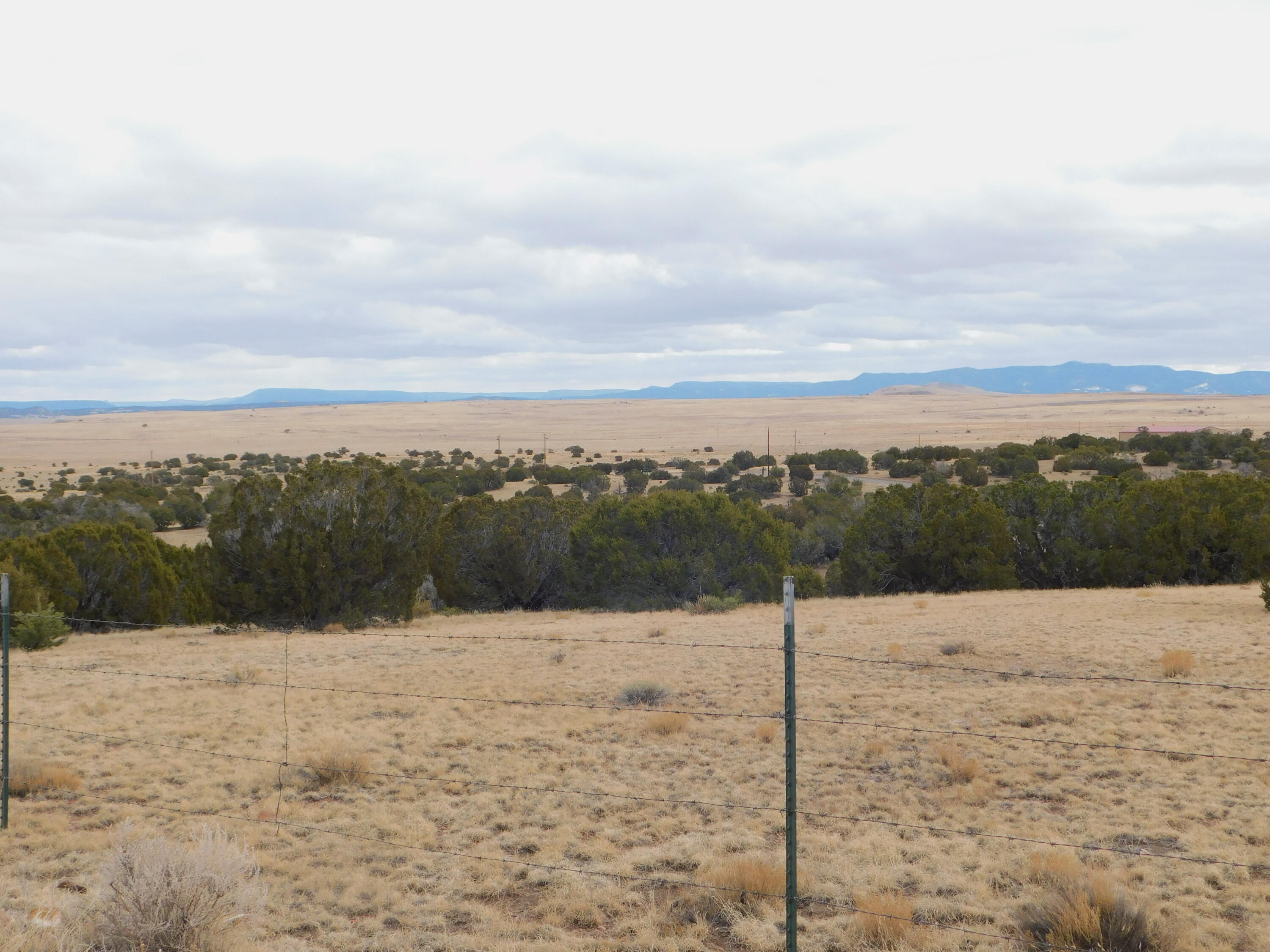 Photo 13 — 52 & 62 Wildflower Trail