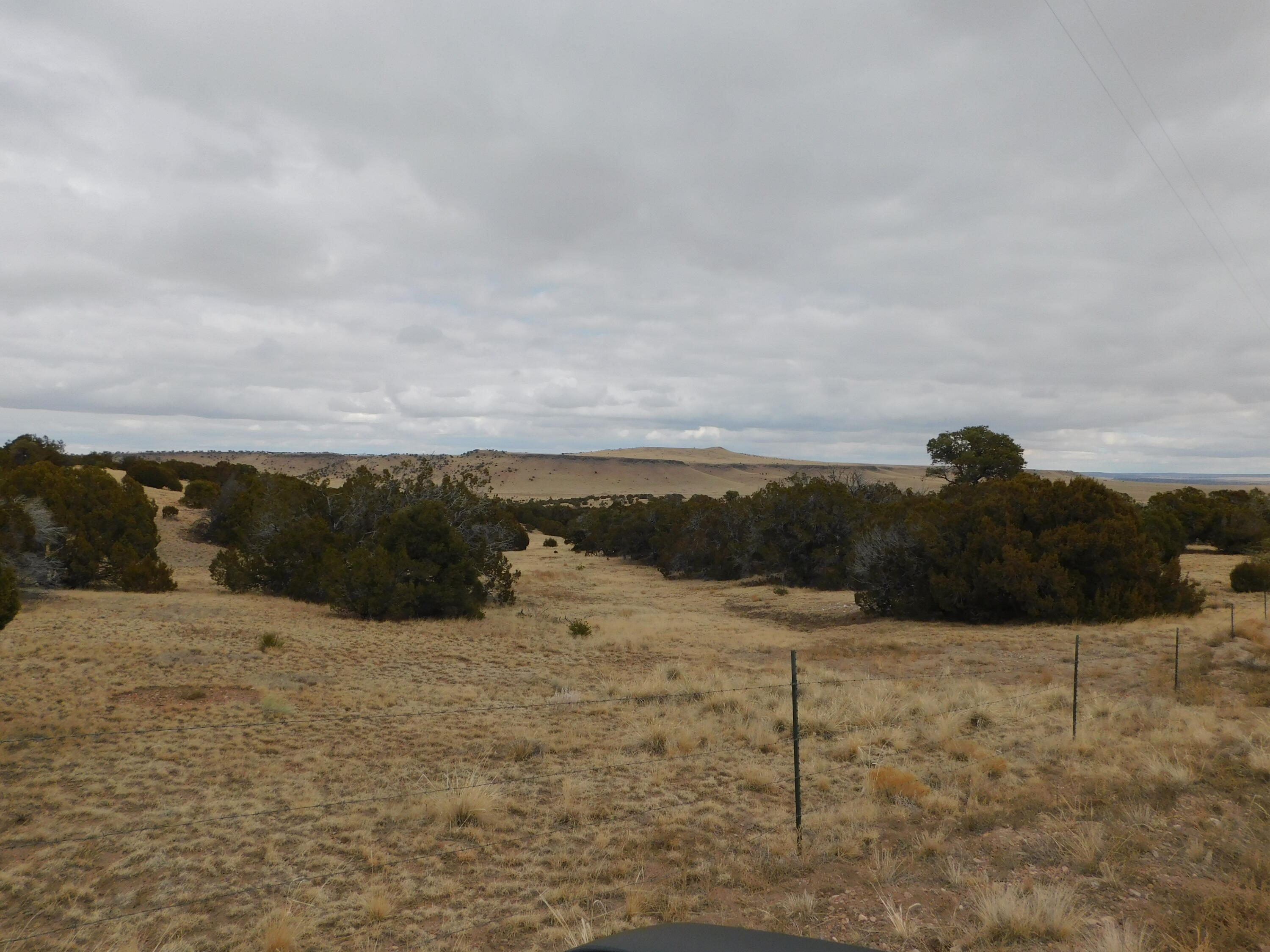Photo 12 — 52 & 62 Wildflower Trail