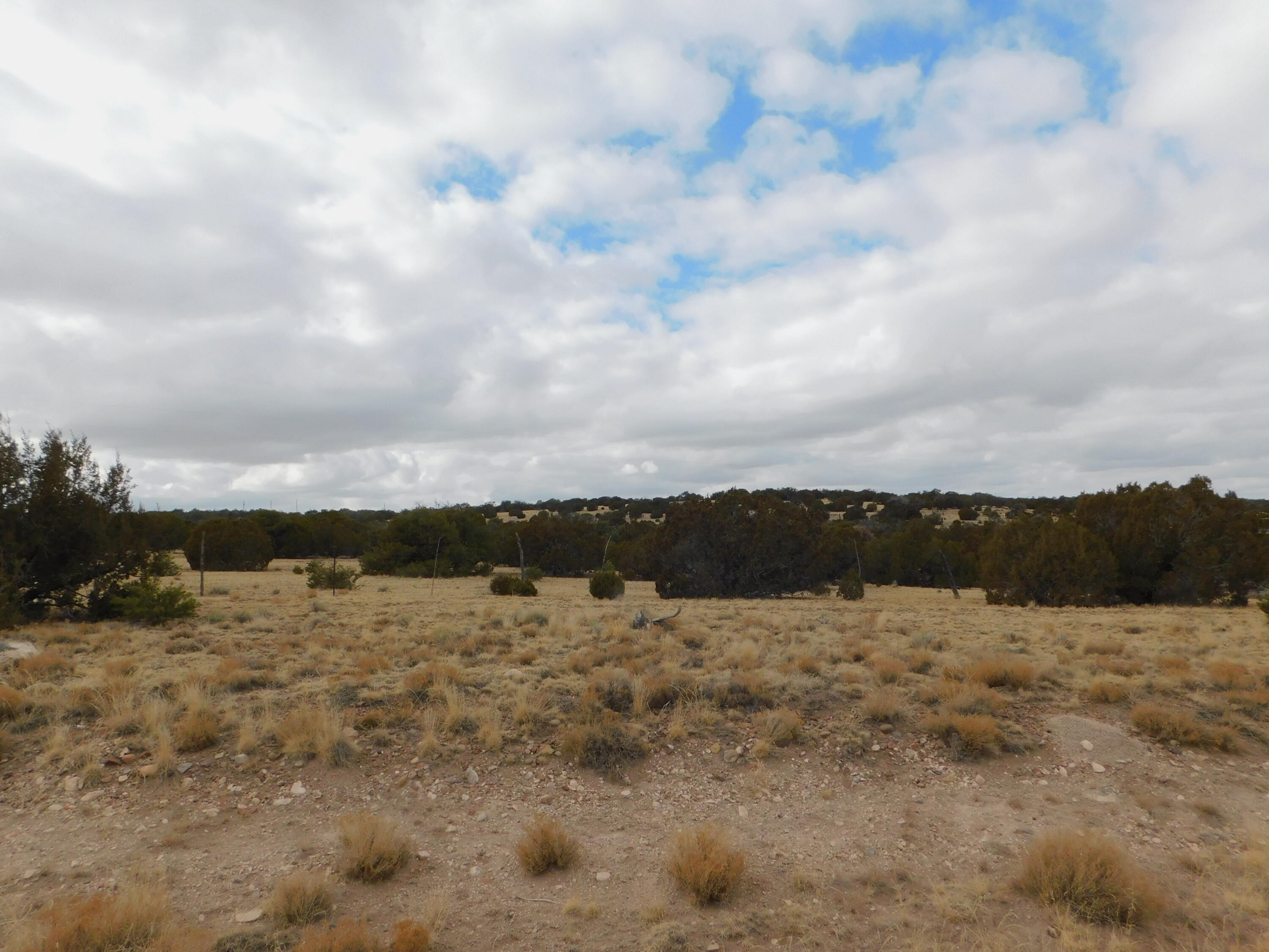 Photo 11 — 52 & 62 Wildflower Trail