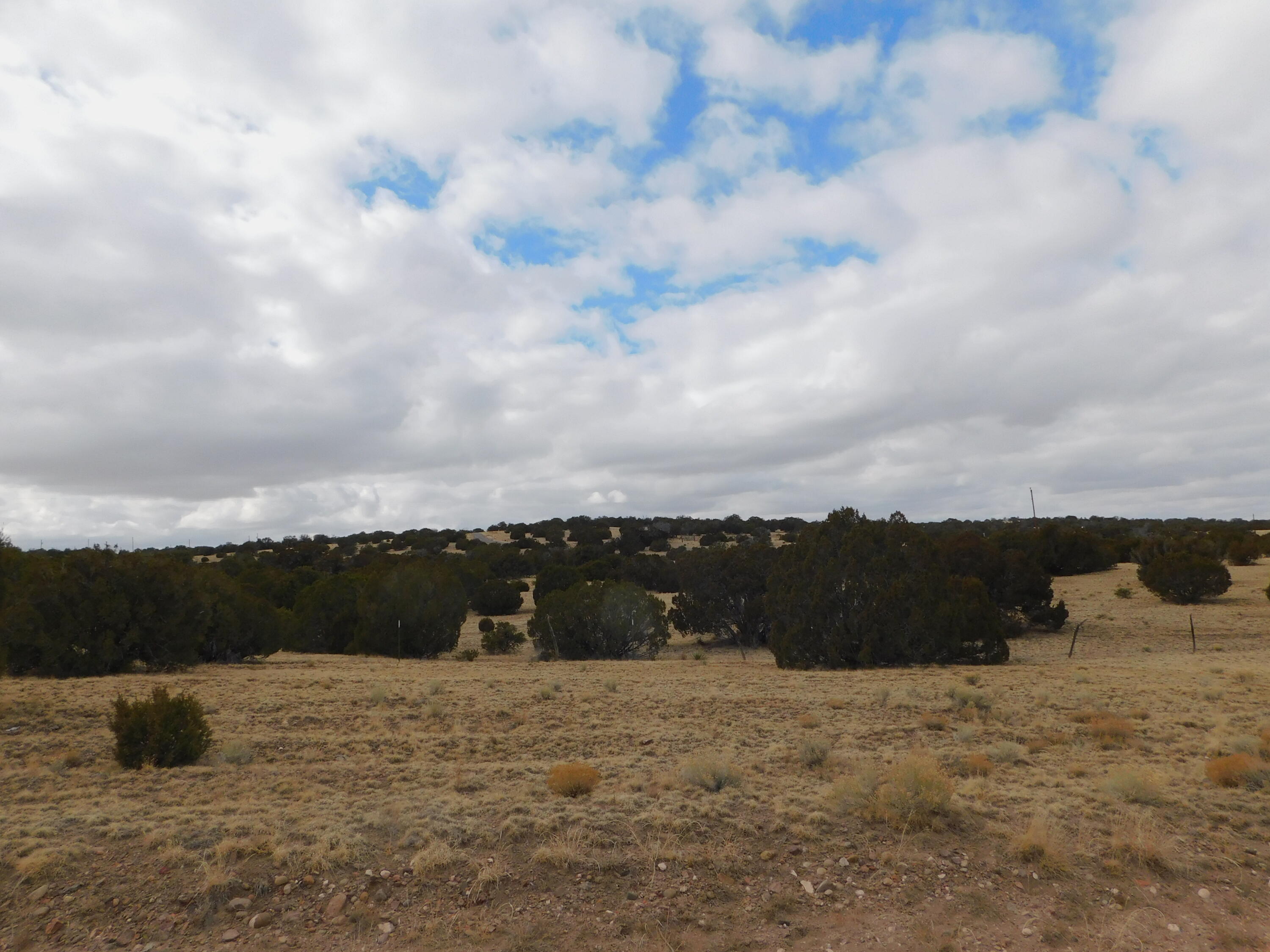 Photo 10 — 52 & 62 Wildflower Trail