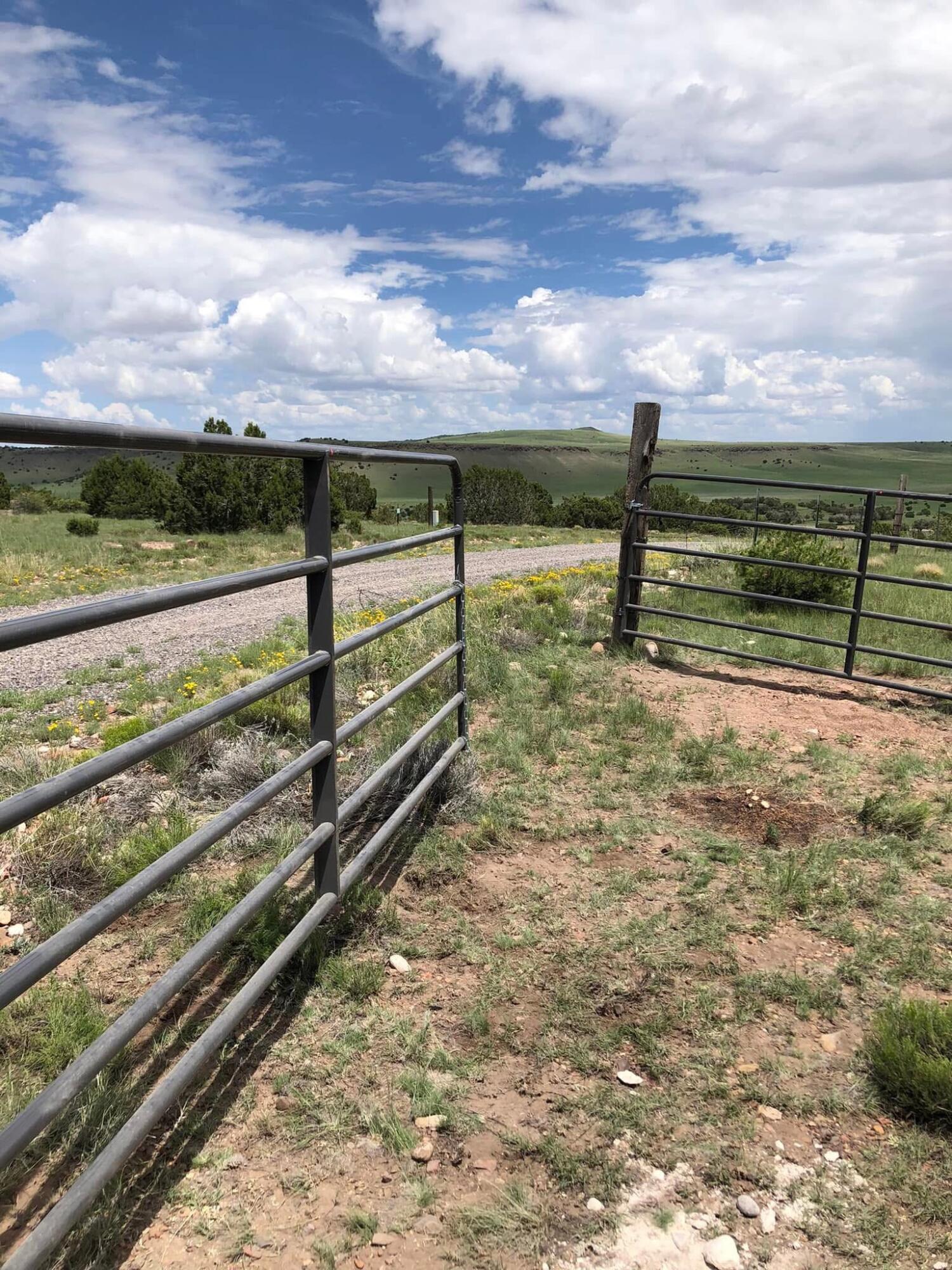 Photo 9 — 52 & 62 Wildflower Trail