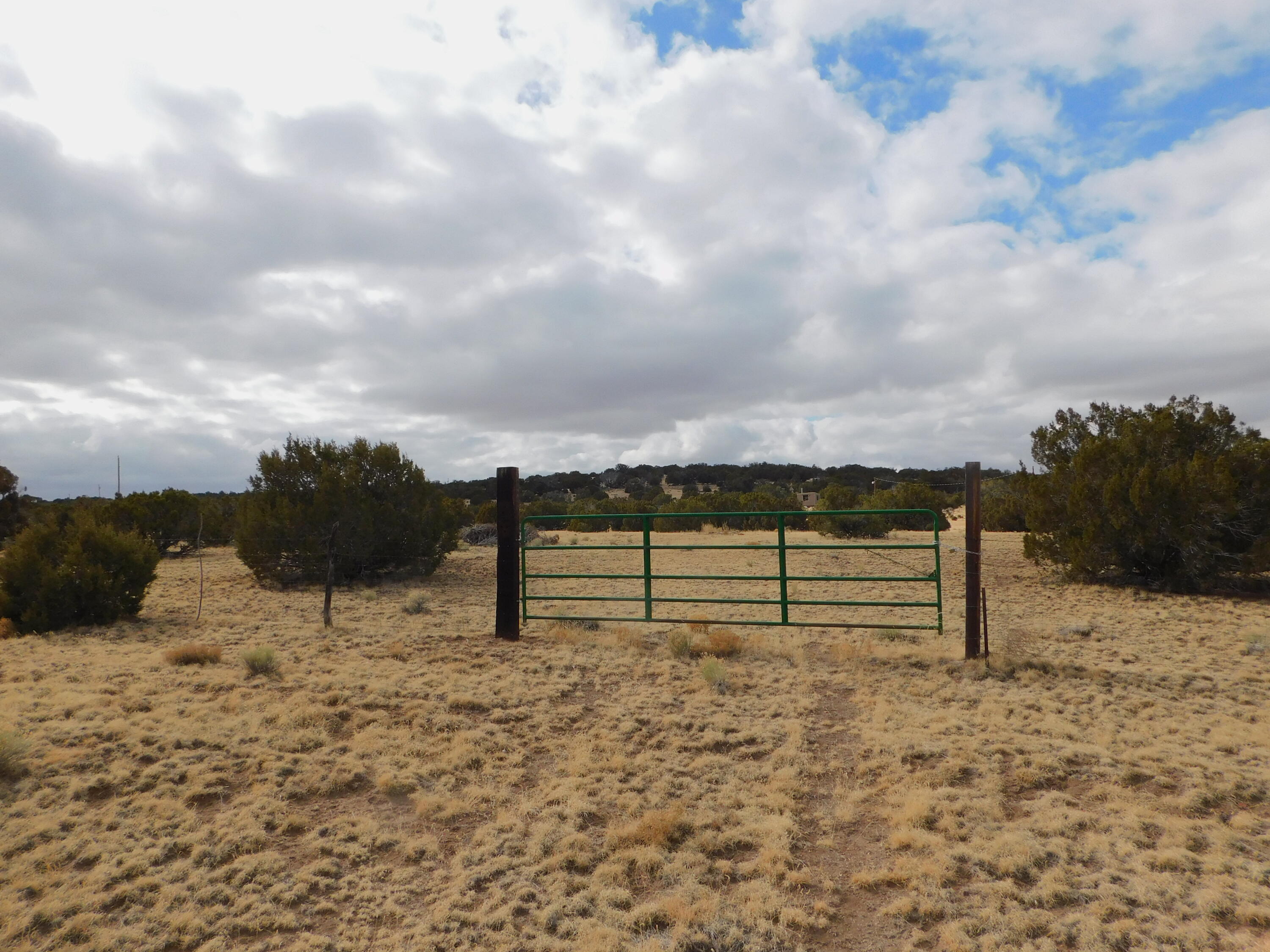 Photo 8 — 52 & 62 Wildflower Trail