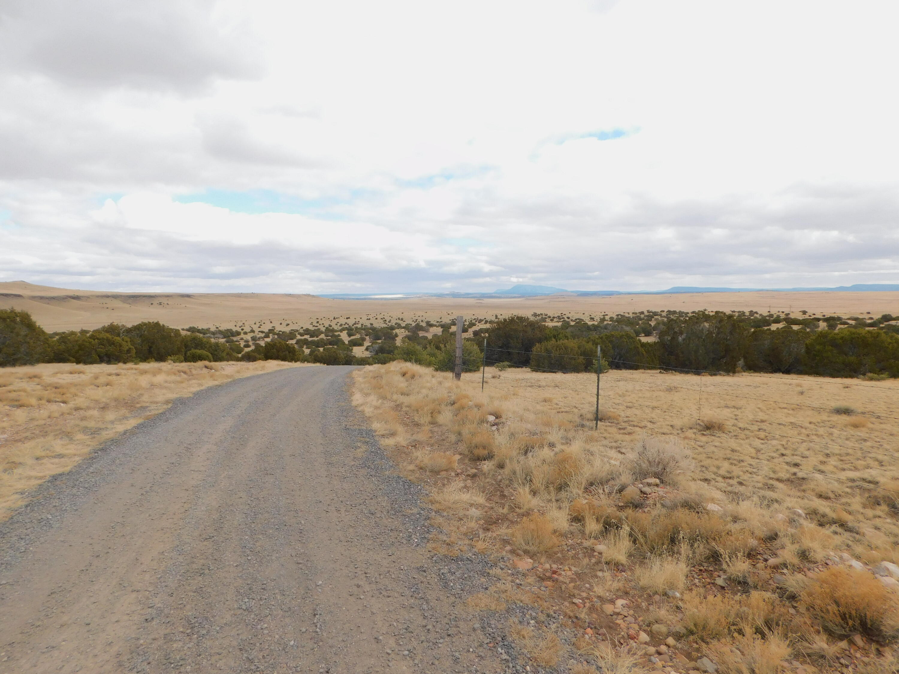 Photo 6 — 52 & 62 Wildflower Trail