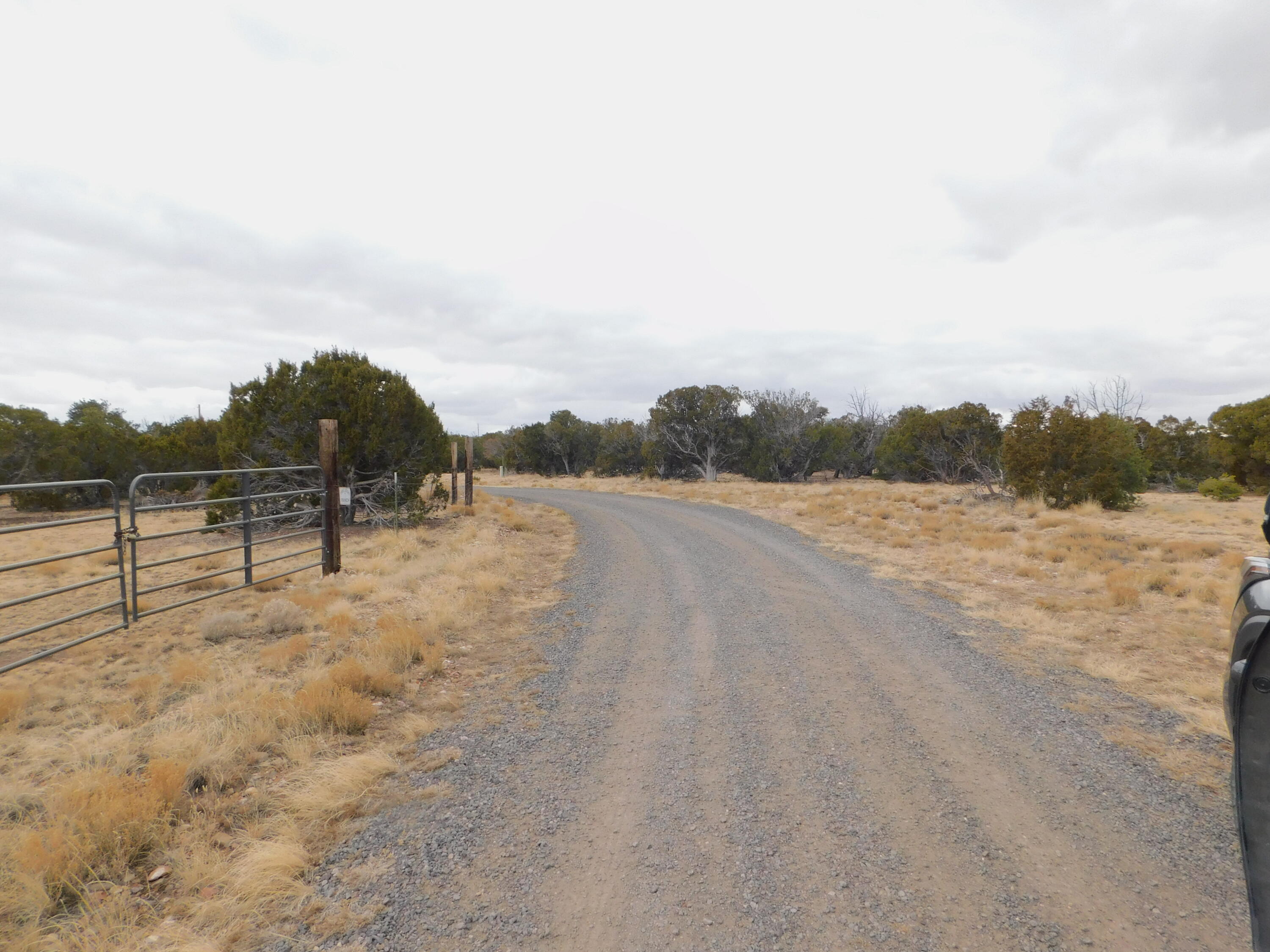 Photo 5 — 52 & 62 Wildflower Trail